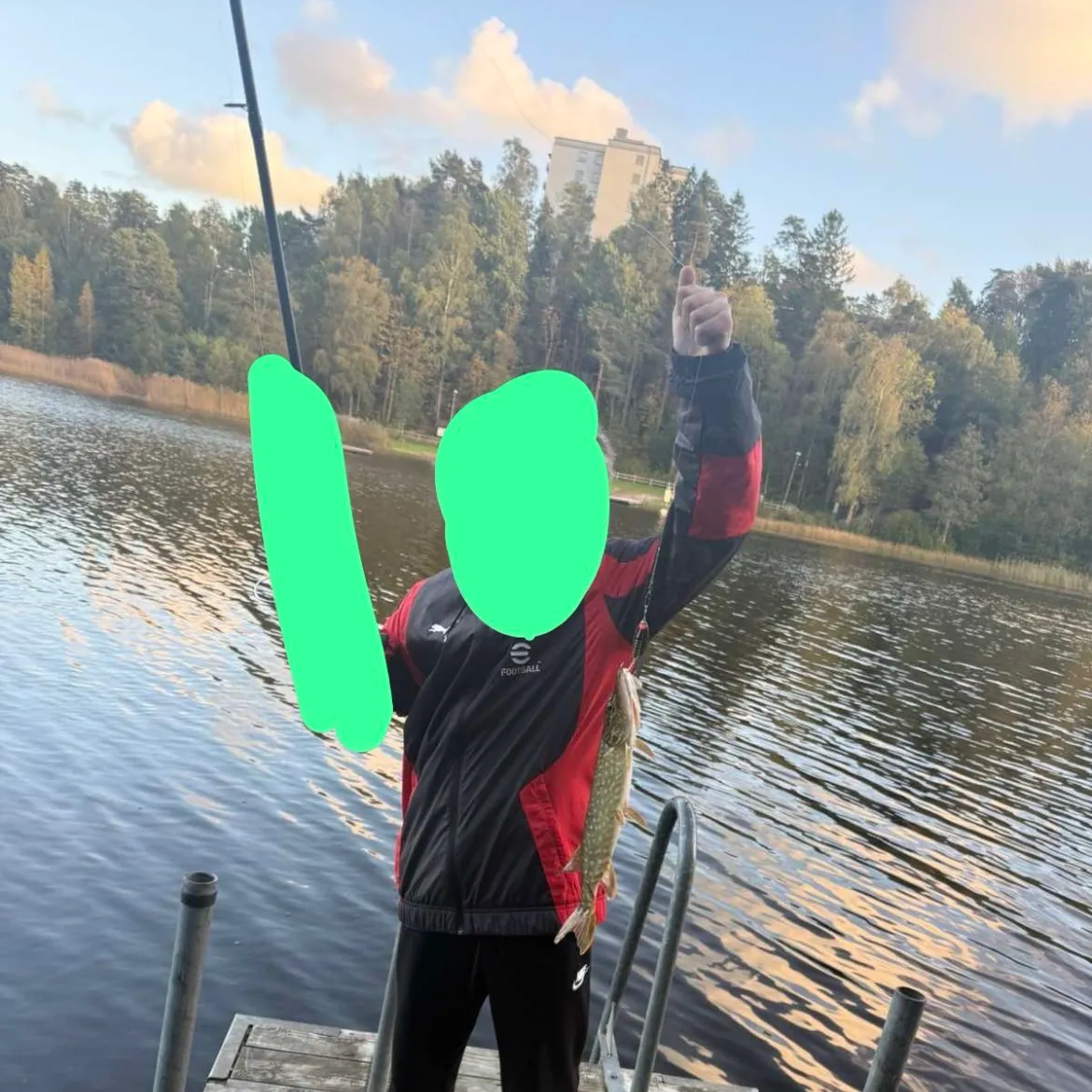 Northern pike caught on Fishbrain