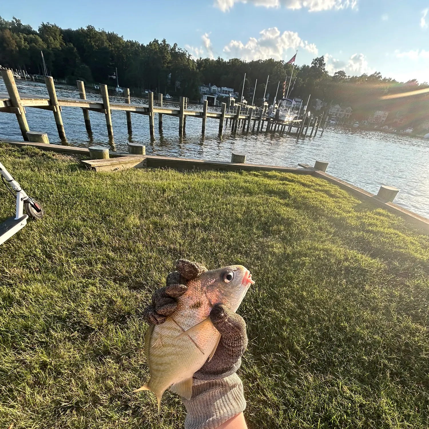 Fish caught on Fishbrain