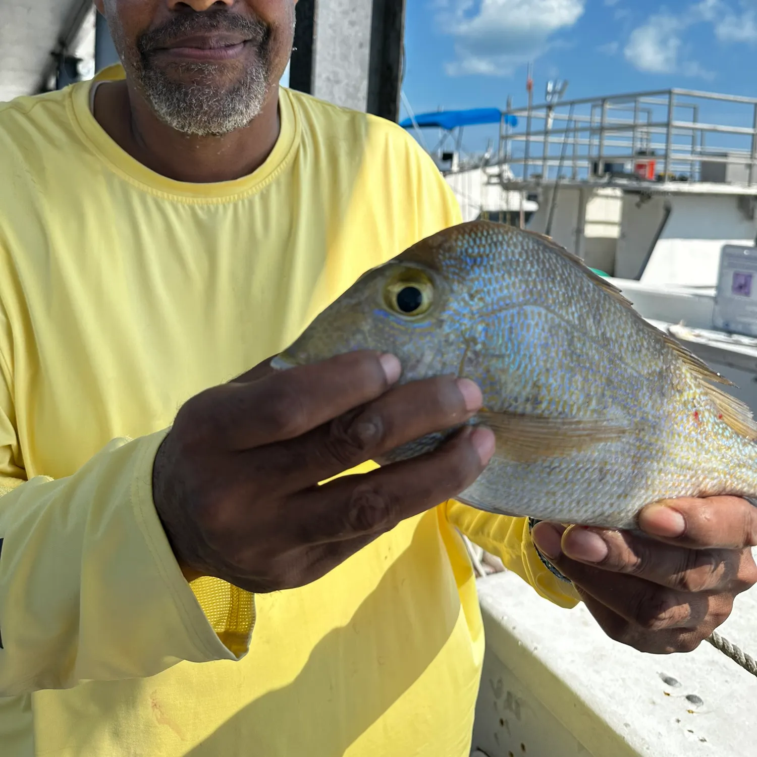 The most recent Scup catches on Fishbrain