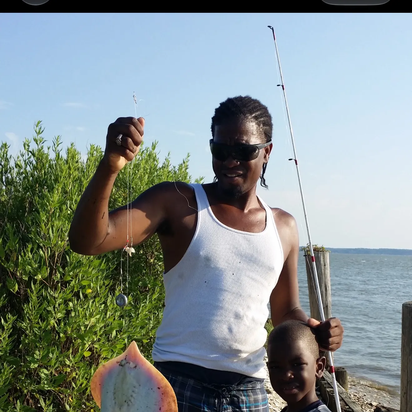 Atlantic stingray caught on Fishbrain