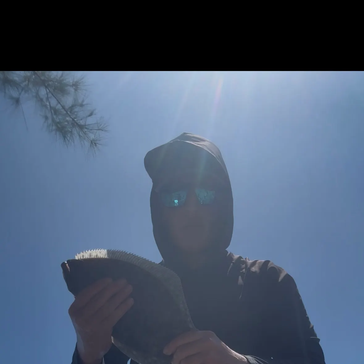 The most recent Southern flounder catches on Fishbrain