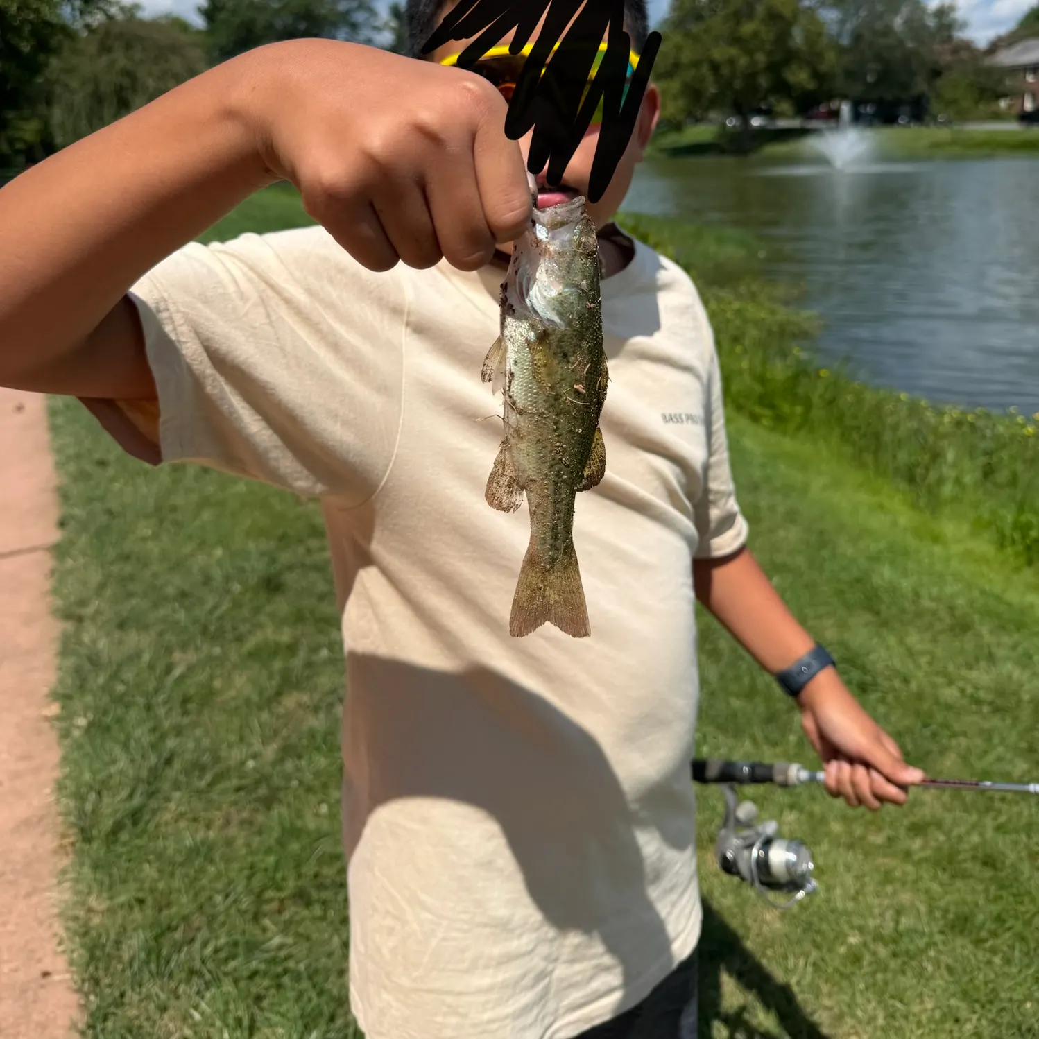 Largemouth bass caught on Fishbrain