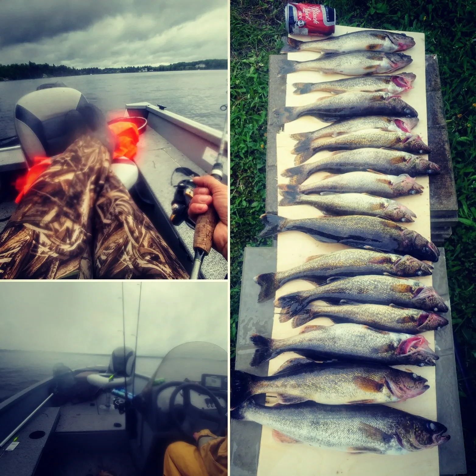 recently logged catches