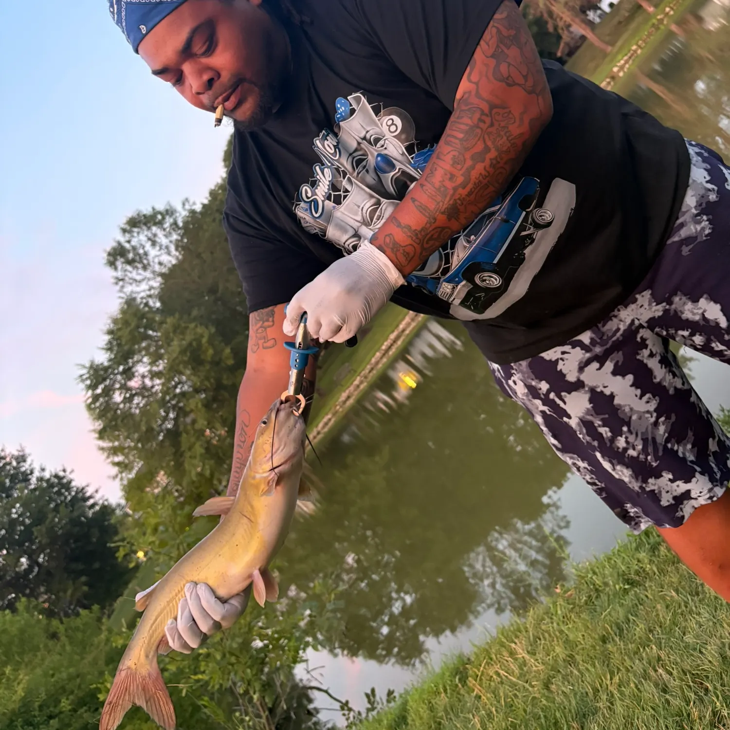 recently logged catches