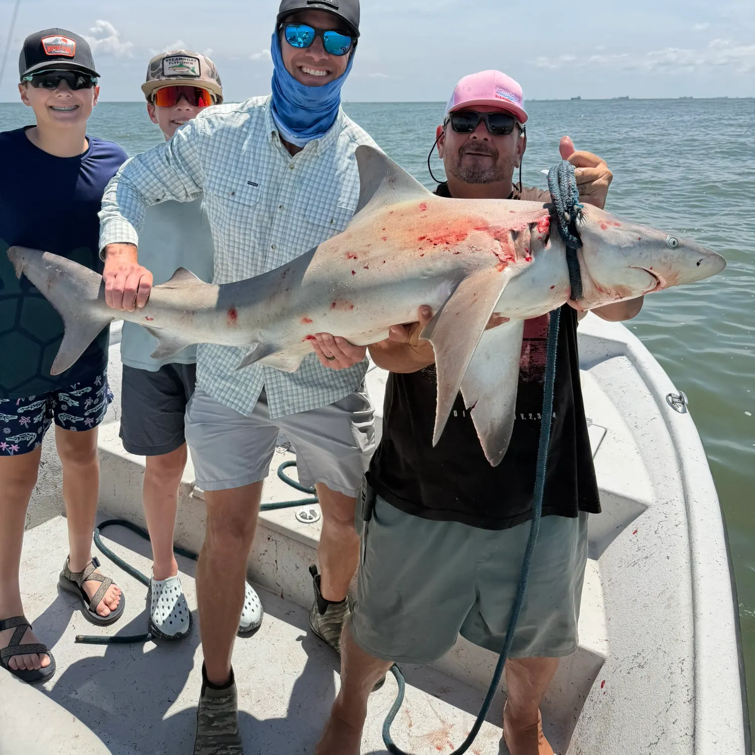 The most recent Bull shark catches on Fishbrain