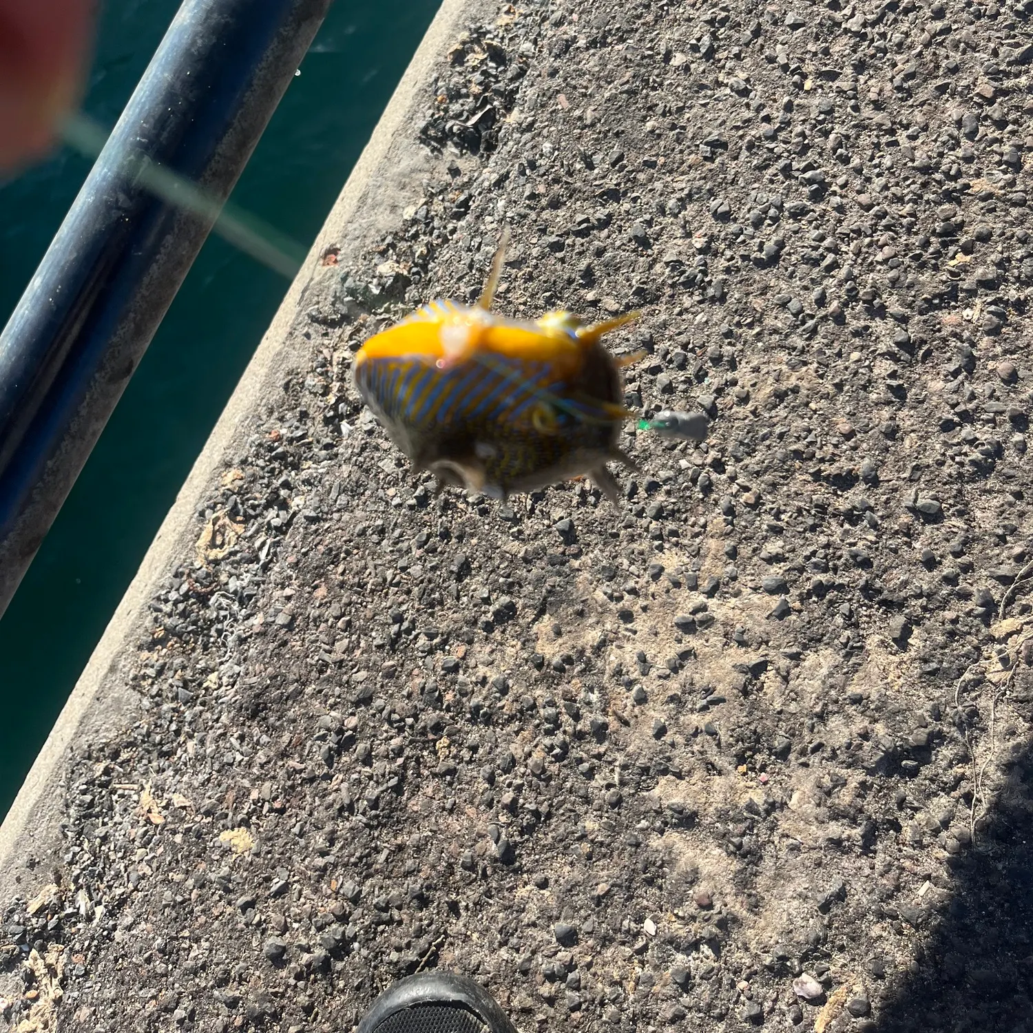 most liked catch image