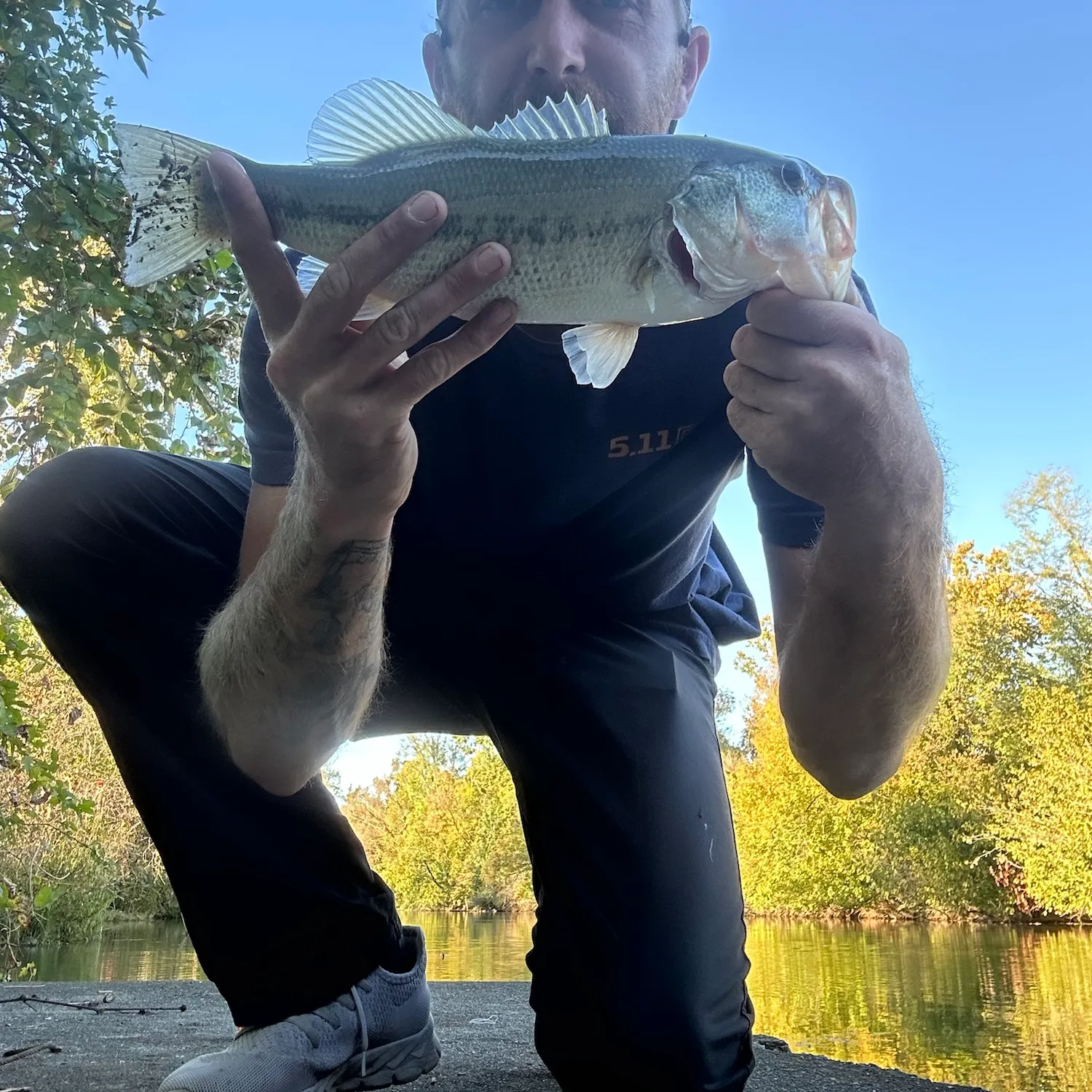 Largemouth bass caught on Fishbrain