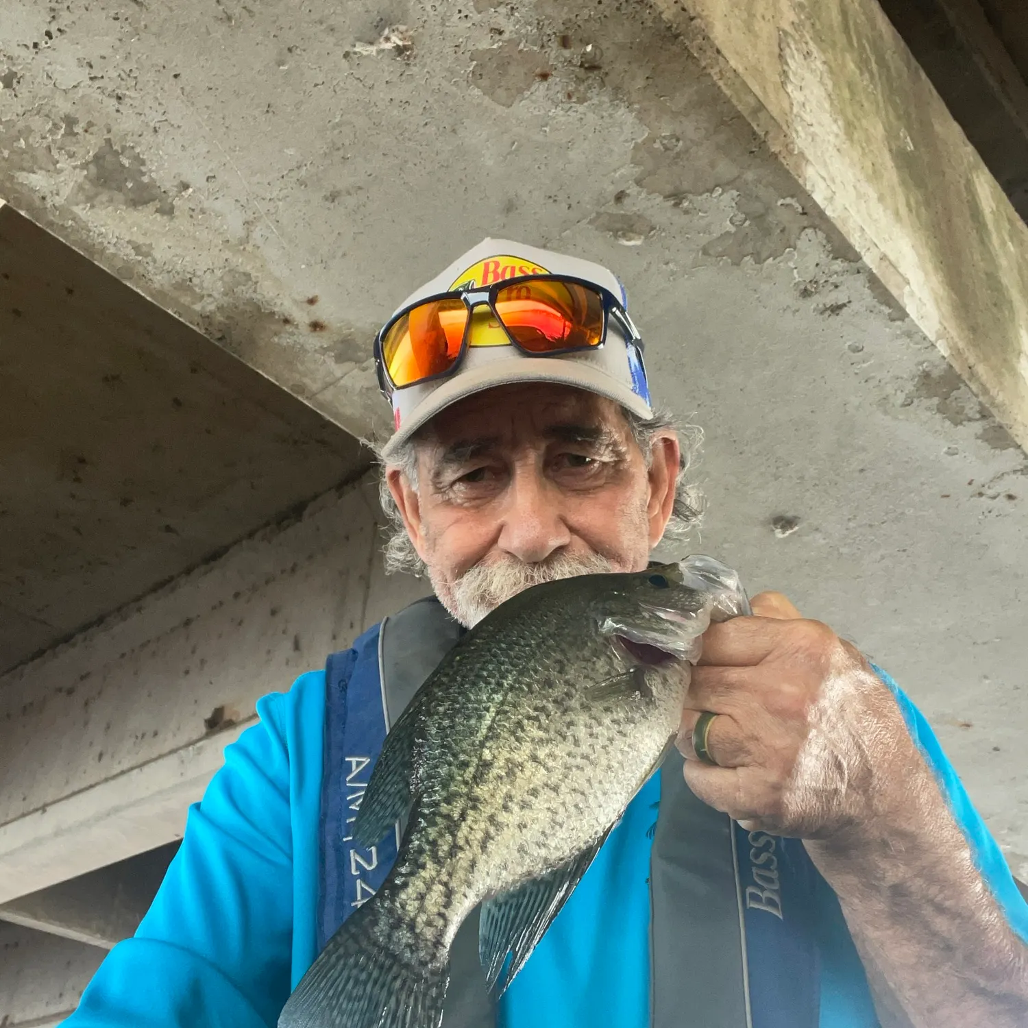 Black crappie caught on Fishbrain