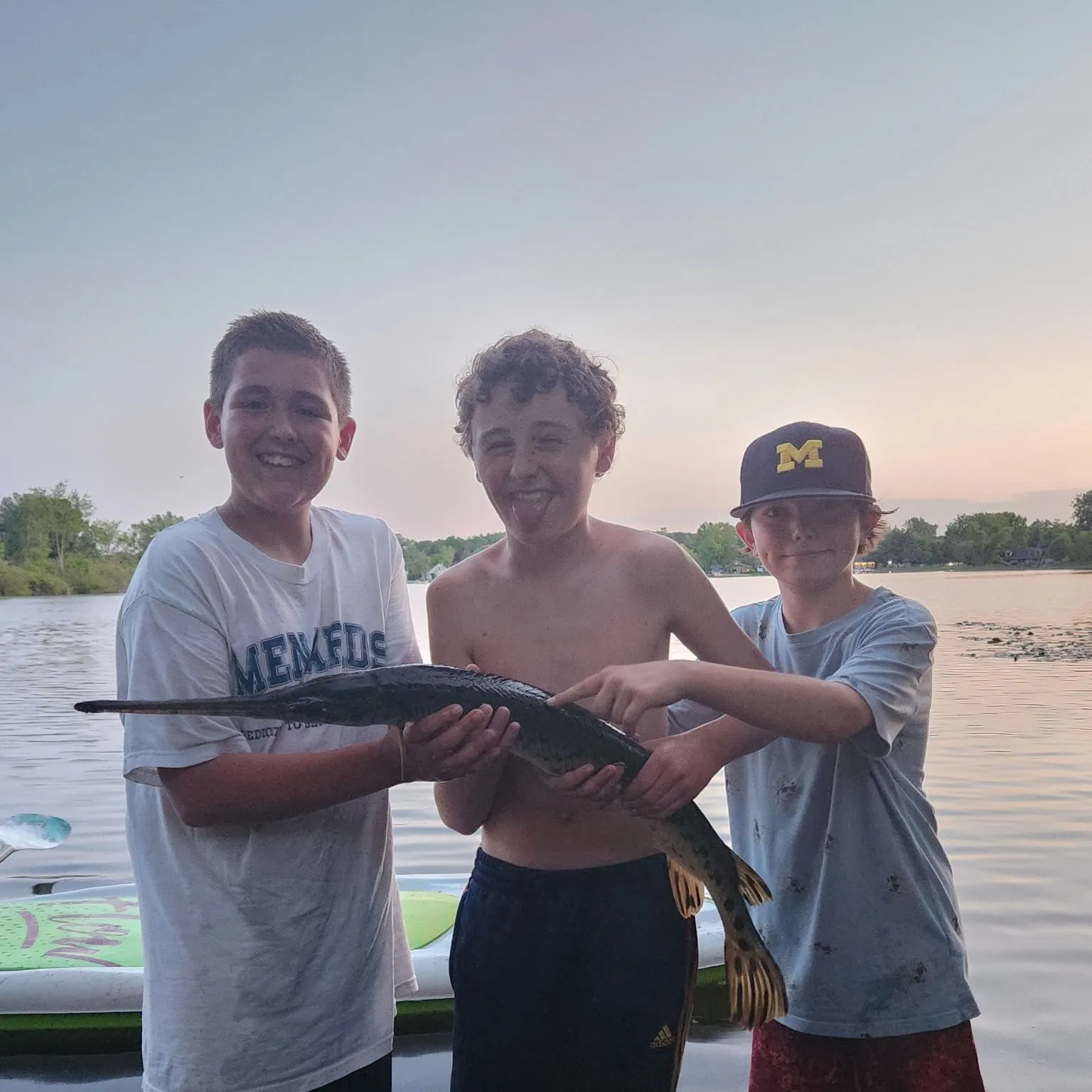 The most recent Longnose gar catches on Fishbrain