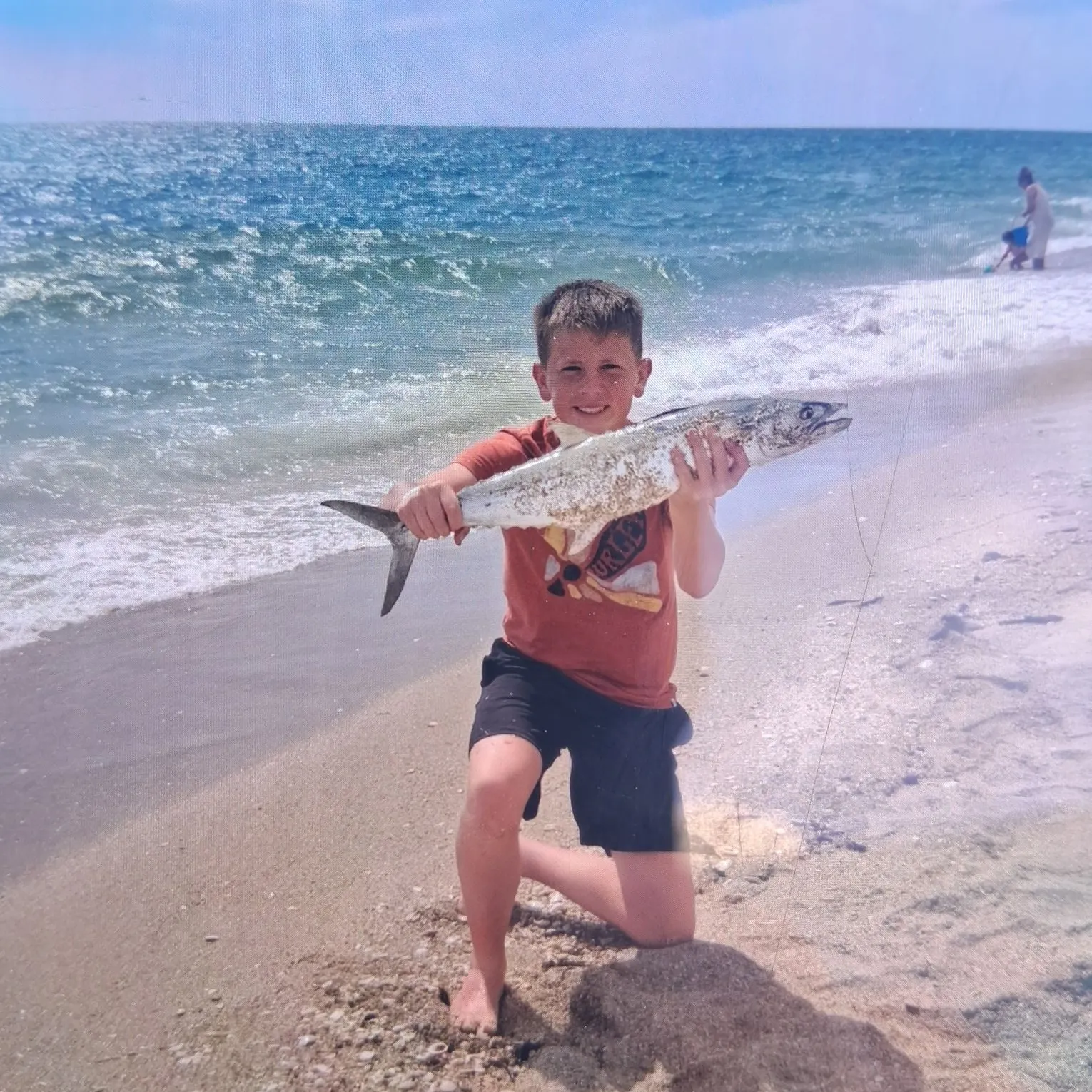 The most recent Cero mackerel catches on Fishbrain