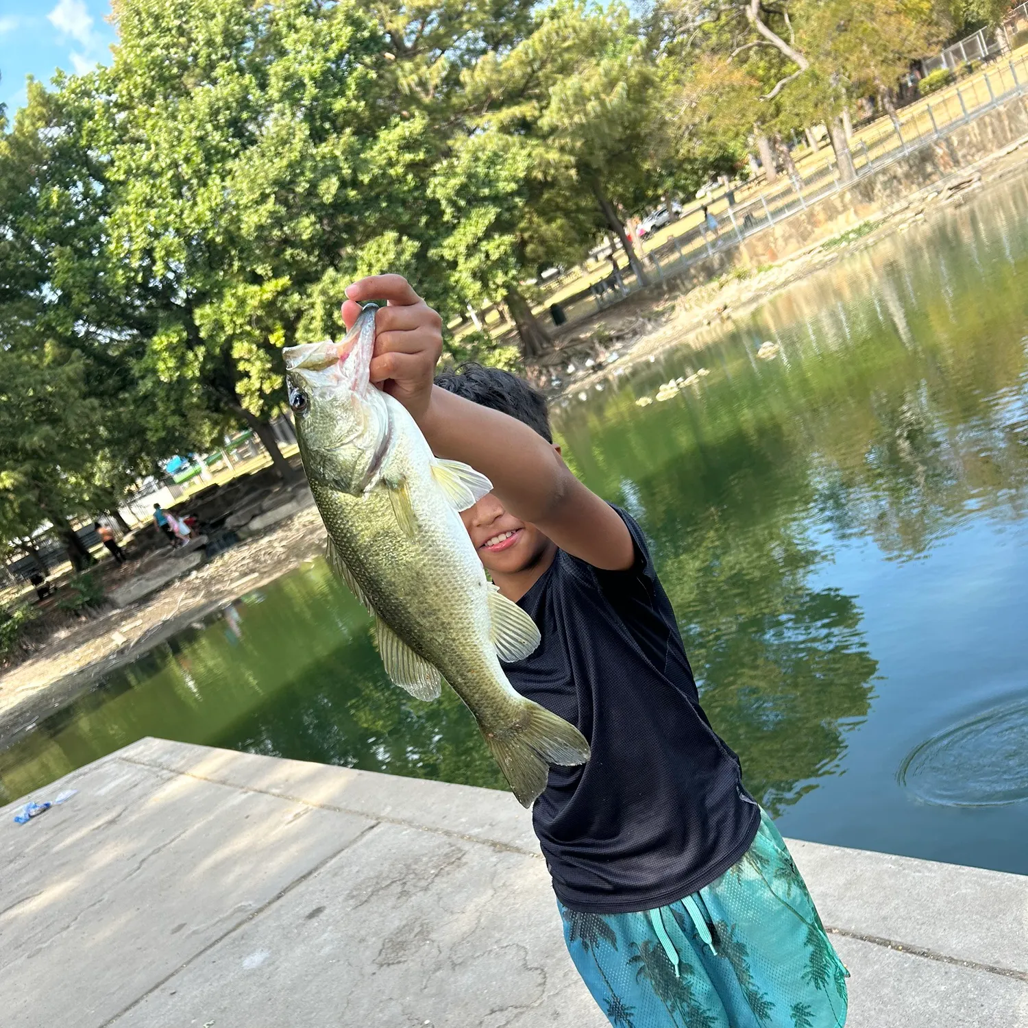 Fish caught on Fishbrain