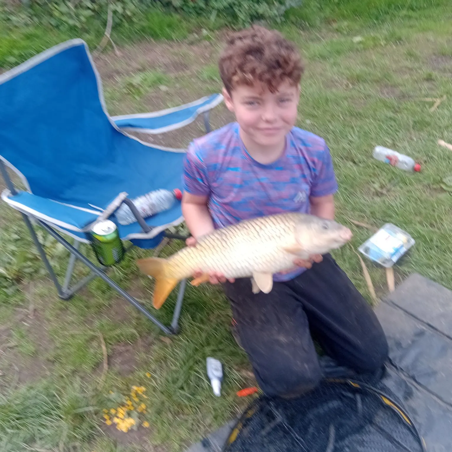 Common carp caught on Fishbrain