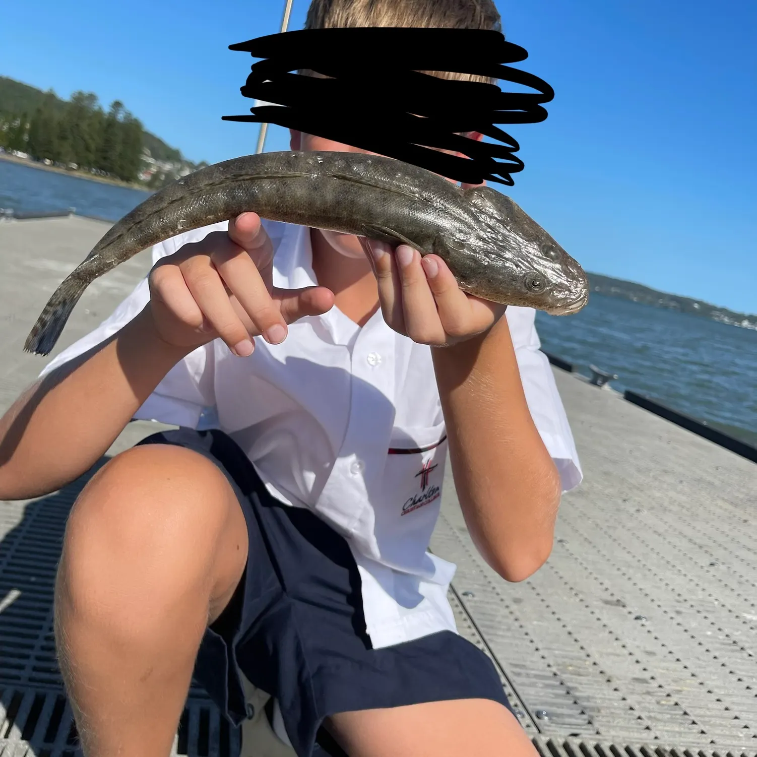 The most recent Dusky flathead catches on Fishbrain