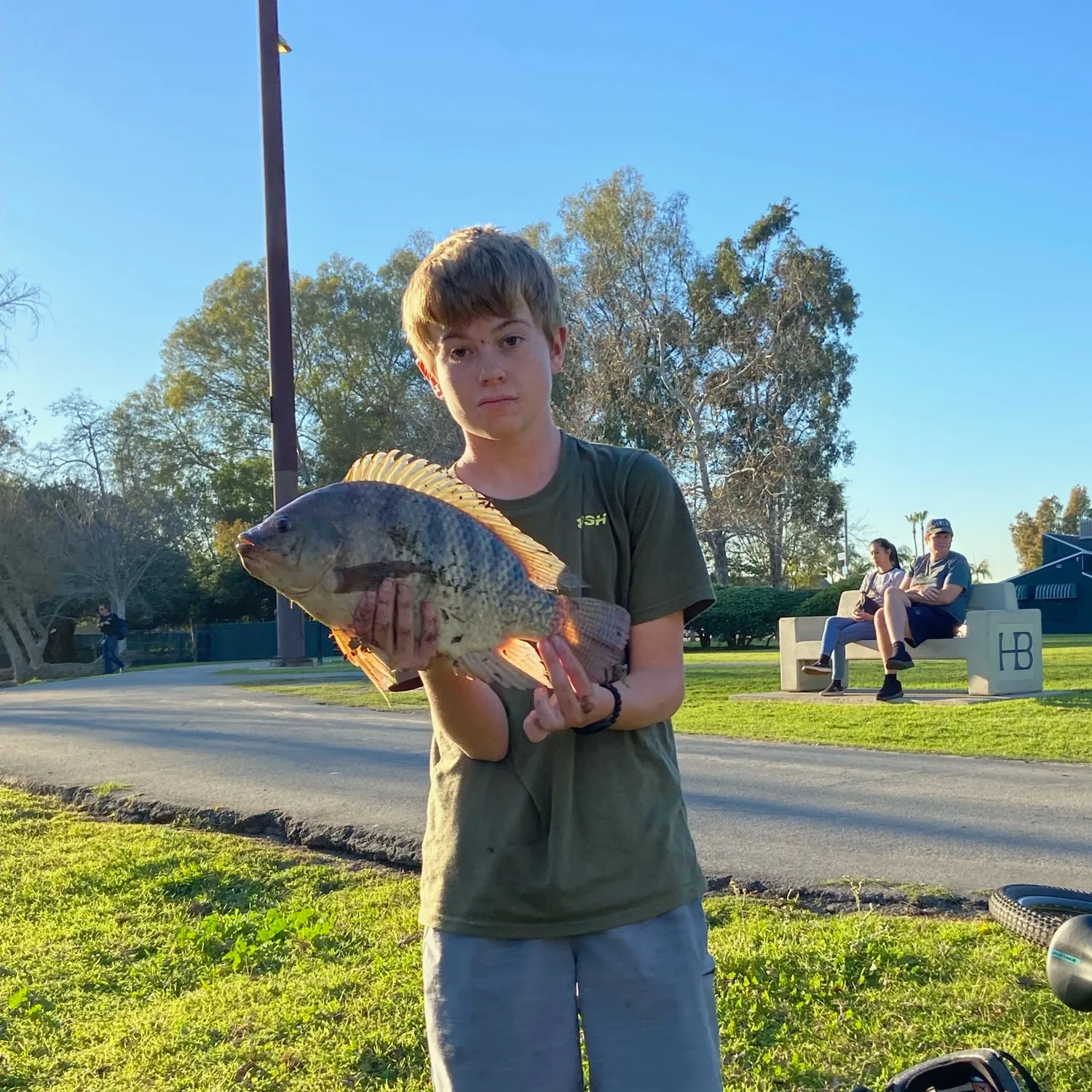The most recent Nile tilapia catches on Fishbrain