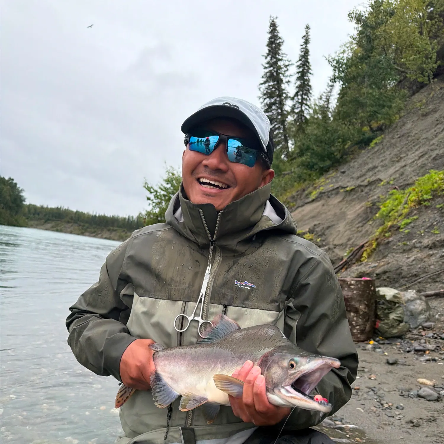 Pink salmon caught on Fishbrain