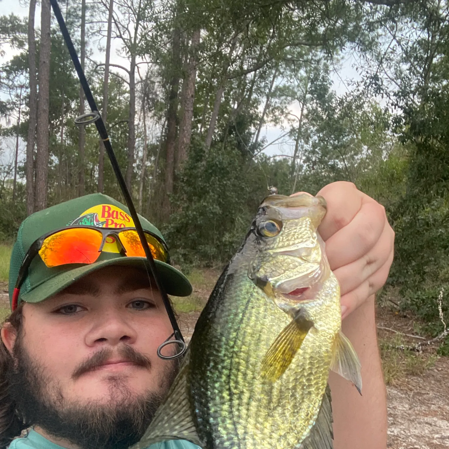 Black crappie caught on Fishbrain