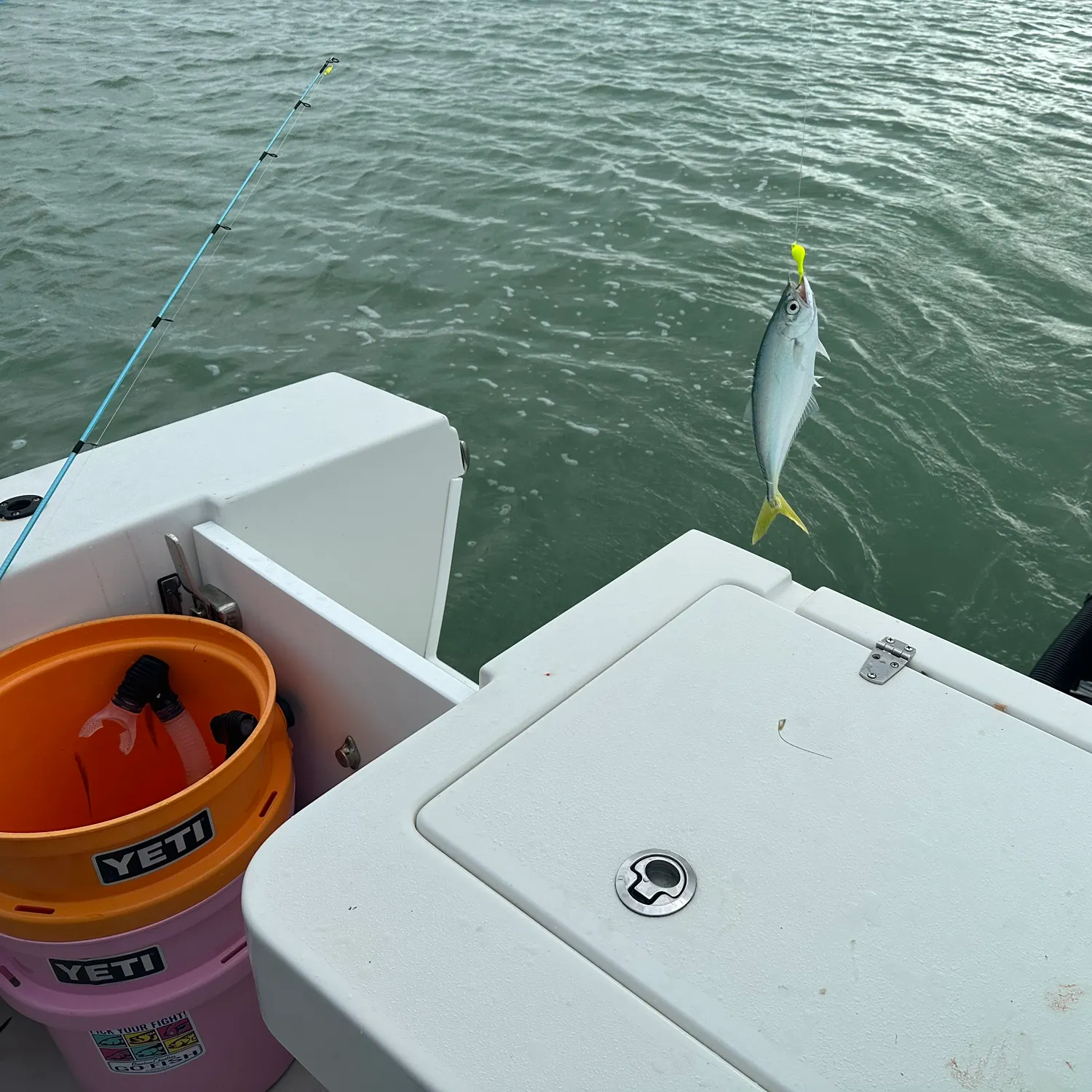 The most recent Leatherjack catches on Fishbrain