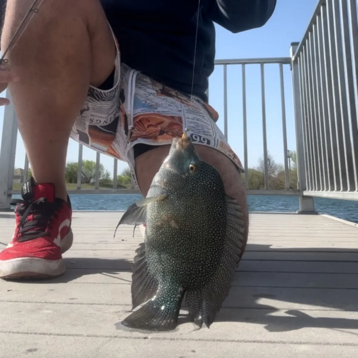 most liked catch image