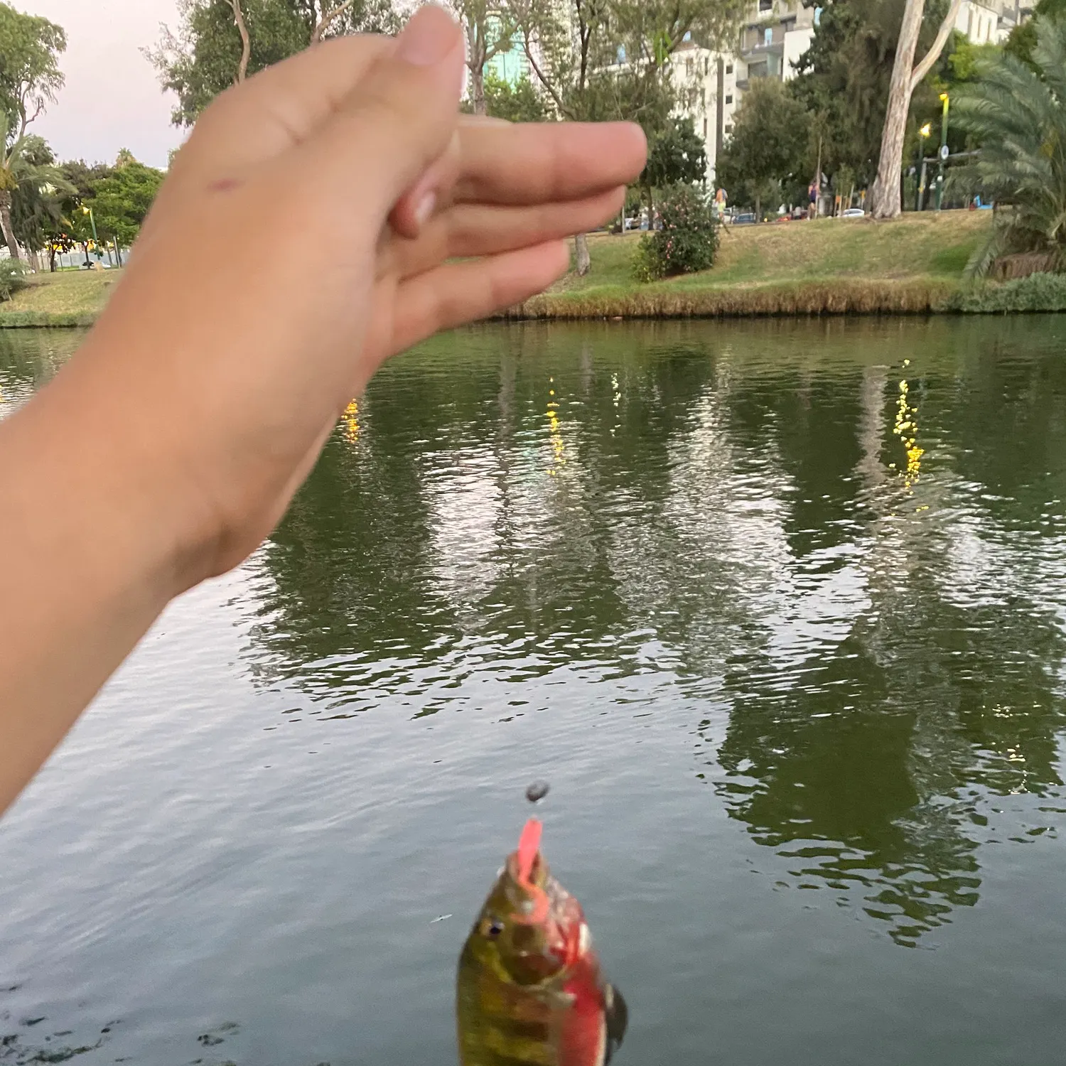 catch