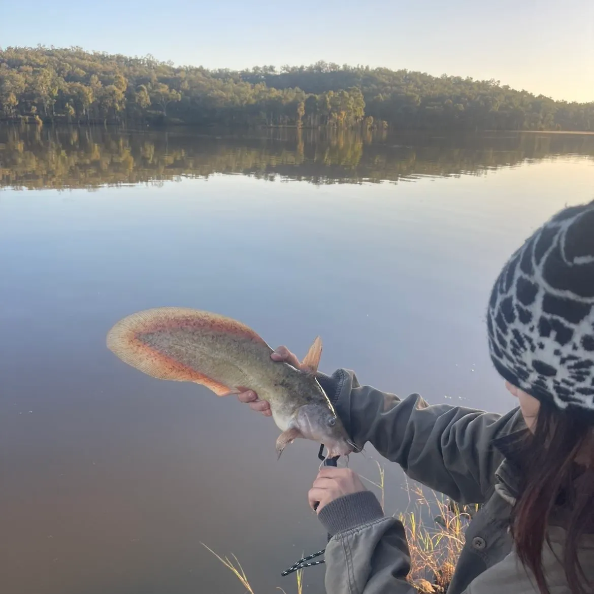 The most recent Dewfish catches on Fishbrain