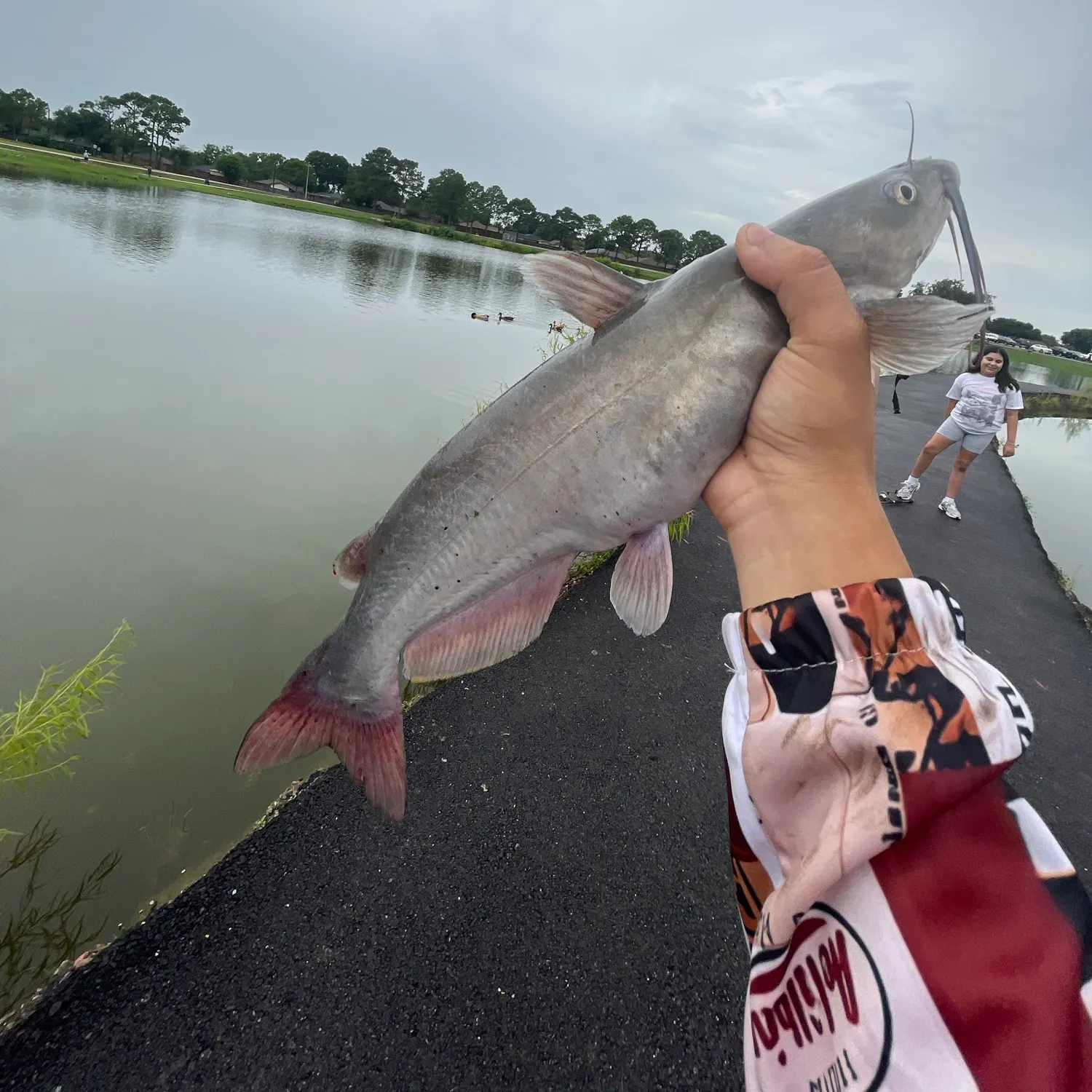 catch