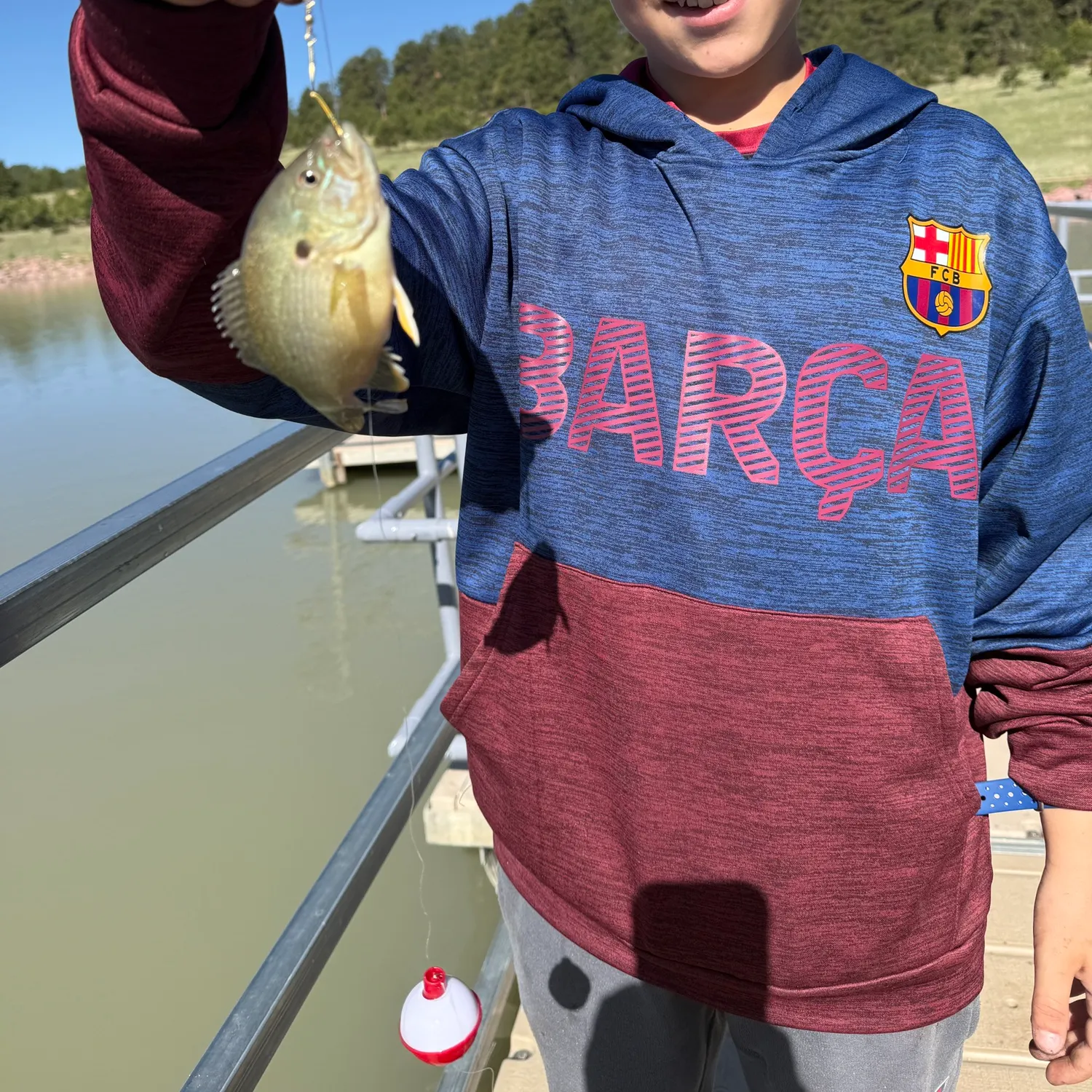 The most recent Wargill hybrid catches on Fishbrain