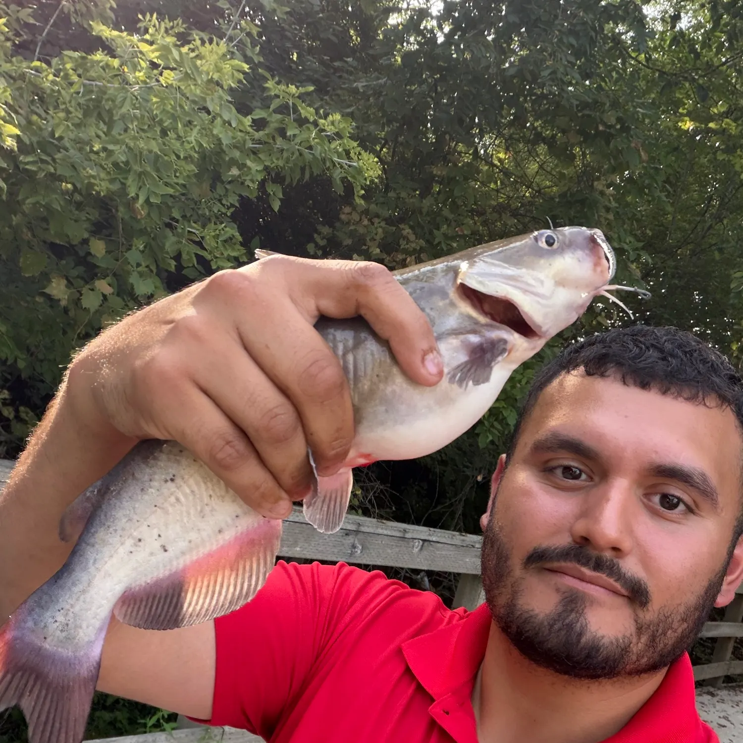Fish caught on Fishbrain