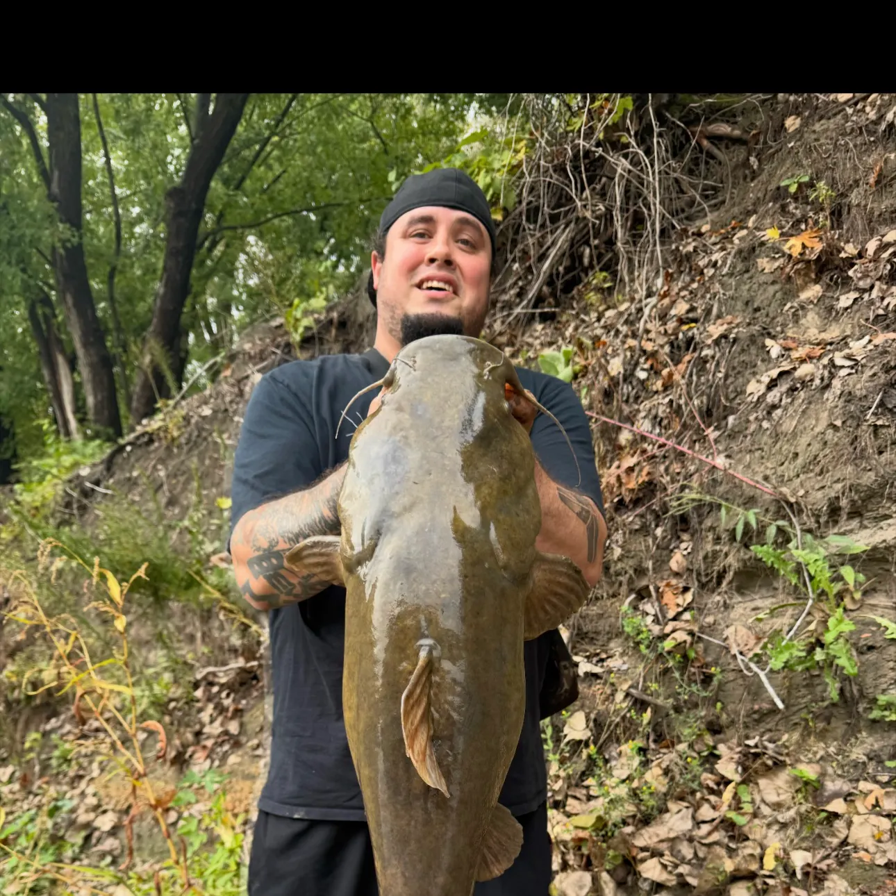 Flathead catfish caught on Fishbrain