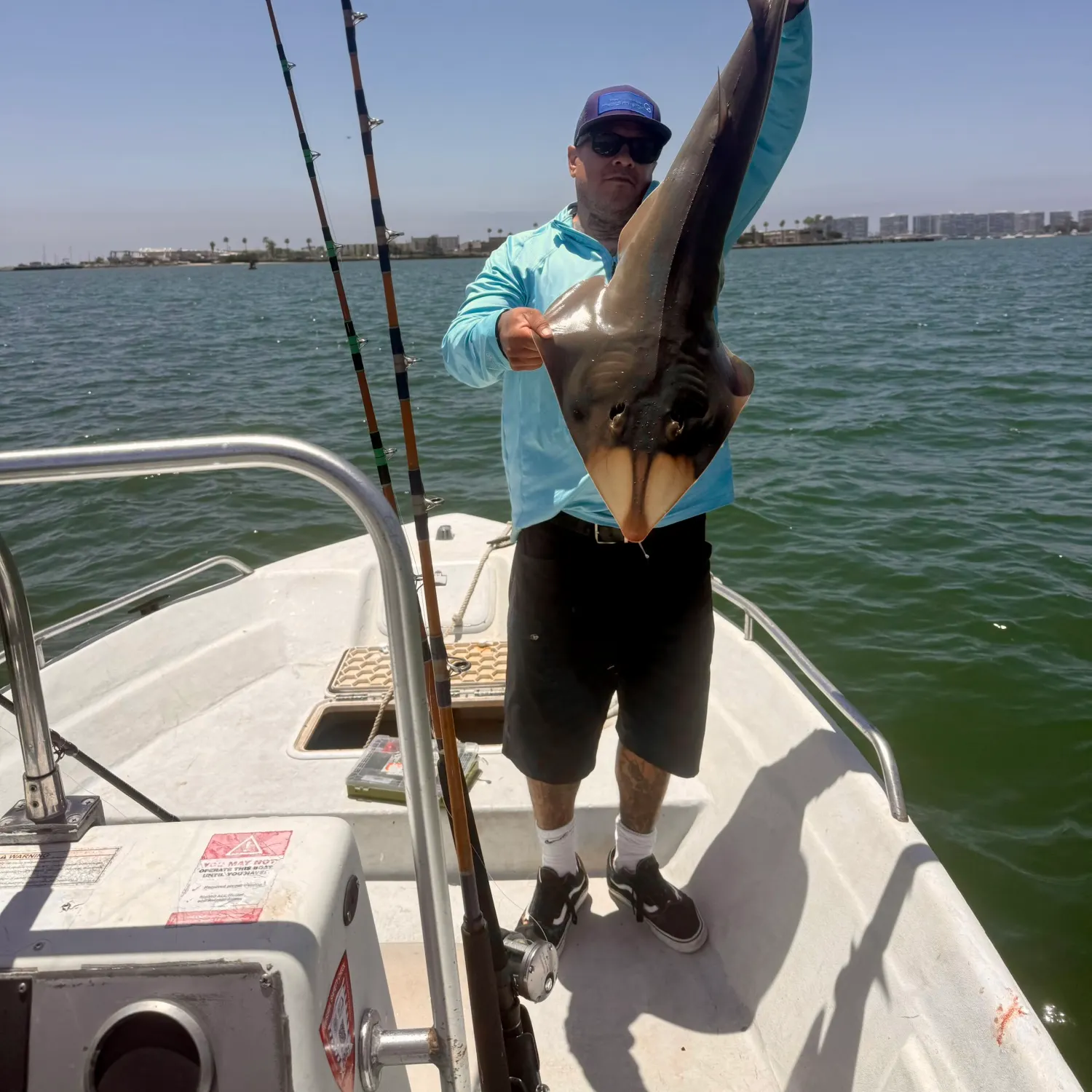 The most recent Pacific shovelnose guitarfish catches on Fishbrain