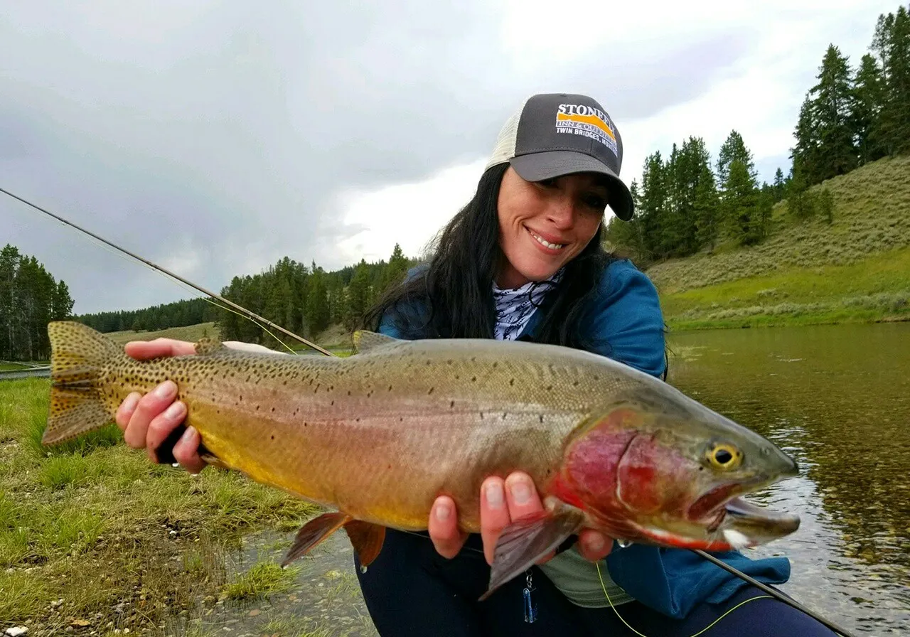 Cutthroat trout