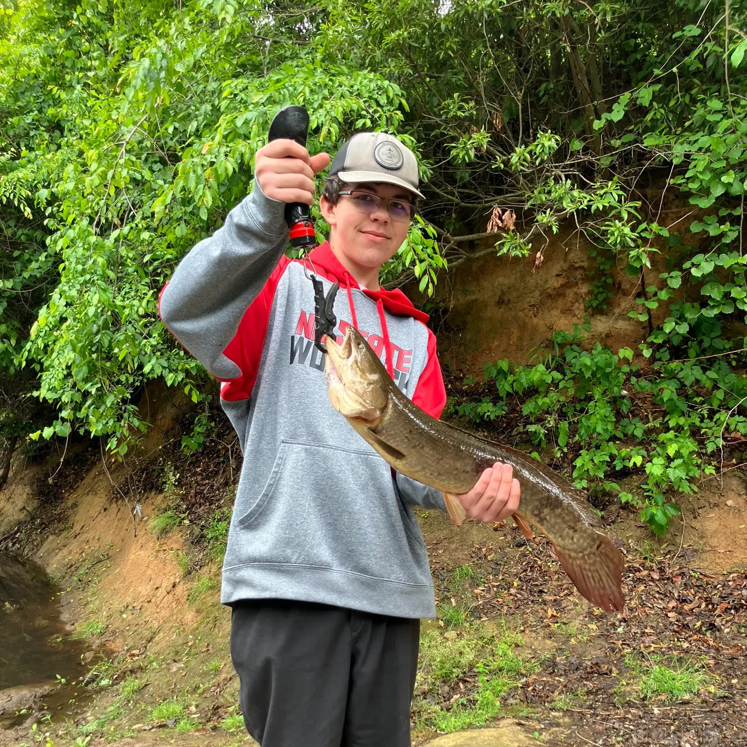 The most recent Ruddy bowfin catches on Fishbrain