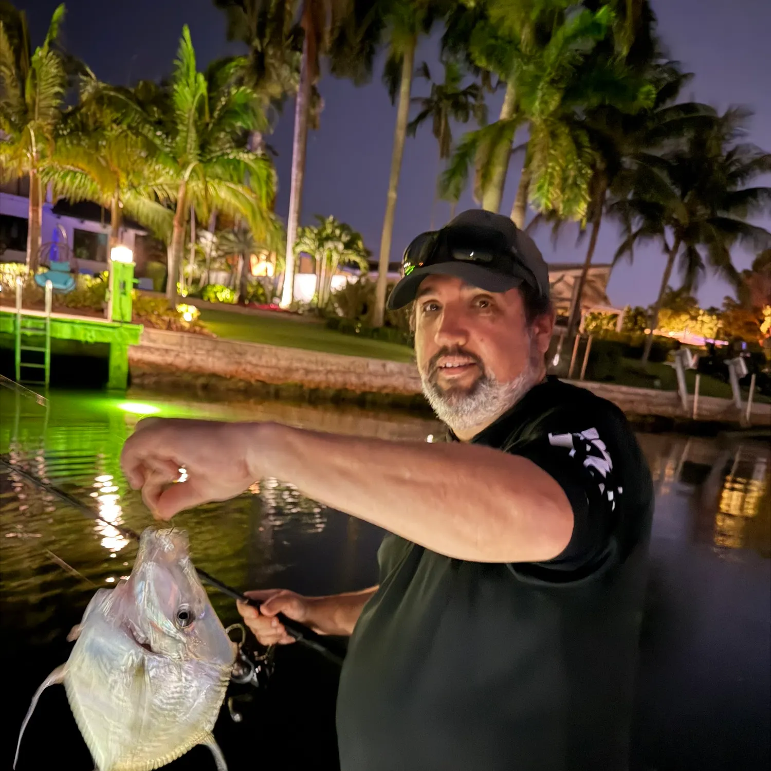 The most recent Lookdown catches on Fishbrain