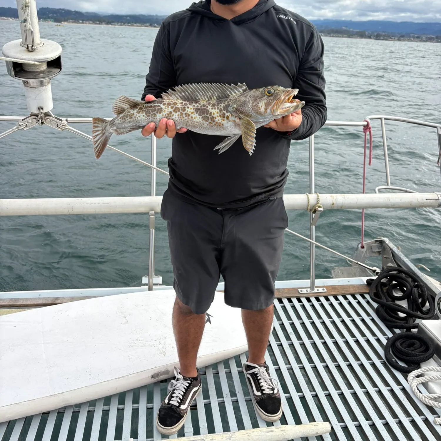 The most recent Lingcod catches on Fishbrain