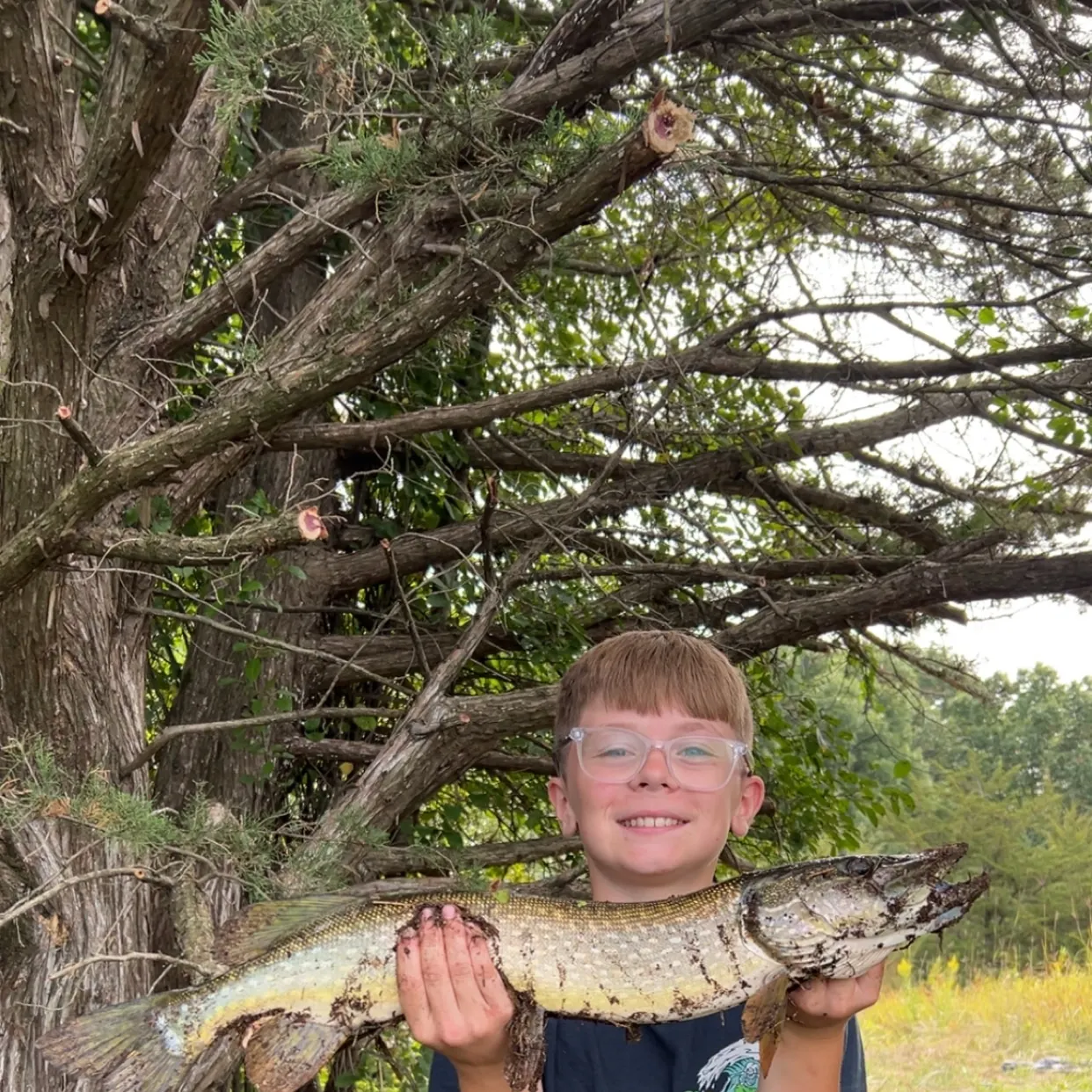 Northern pike caught on Fishbrain