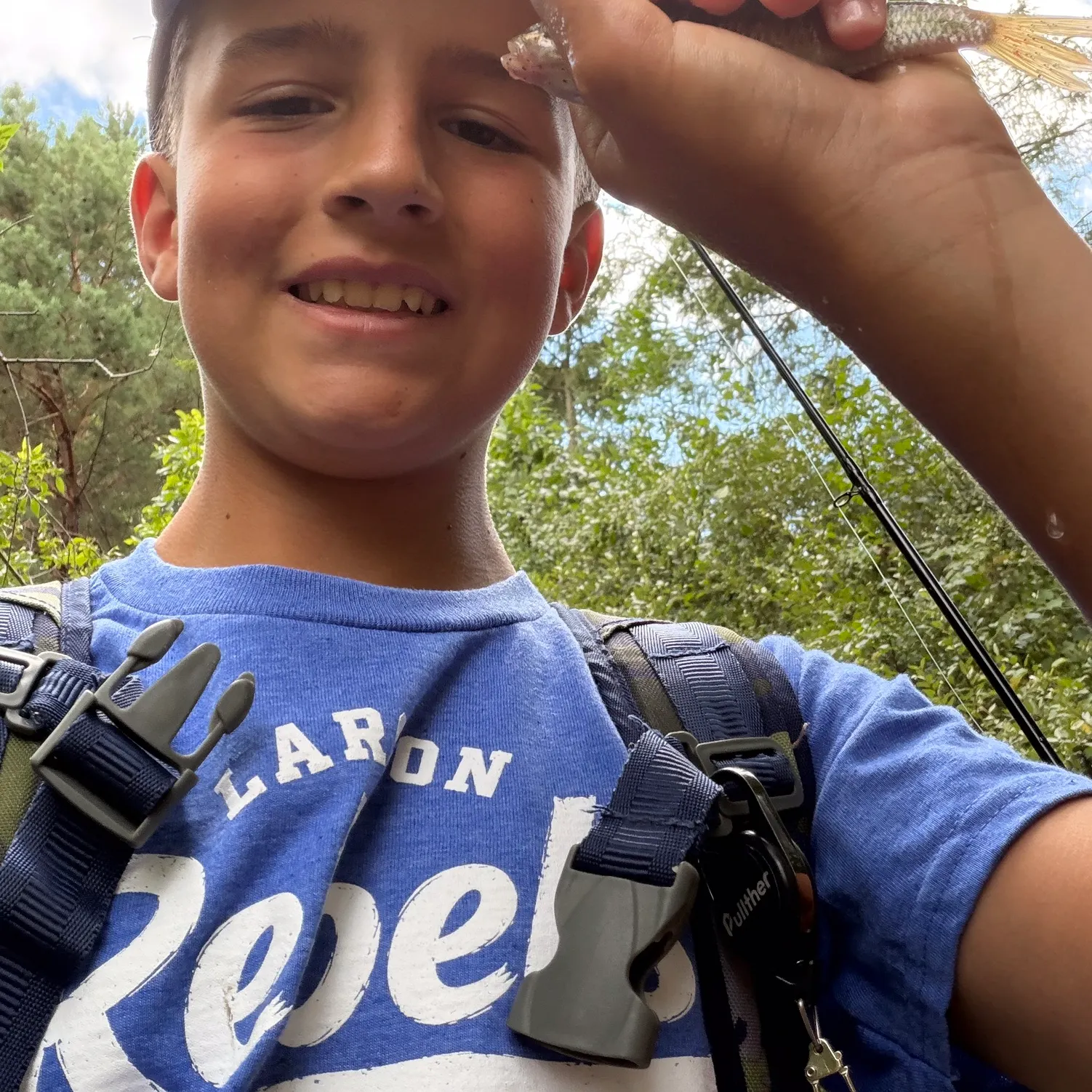 Creek chub caught on Fishbrain