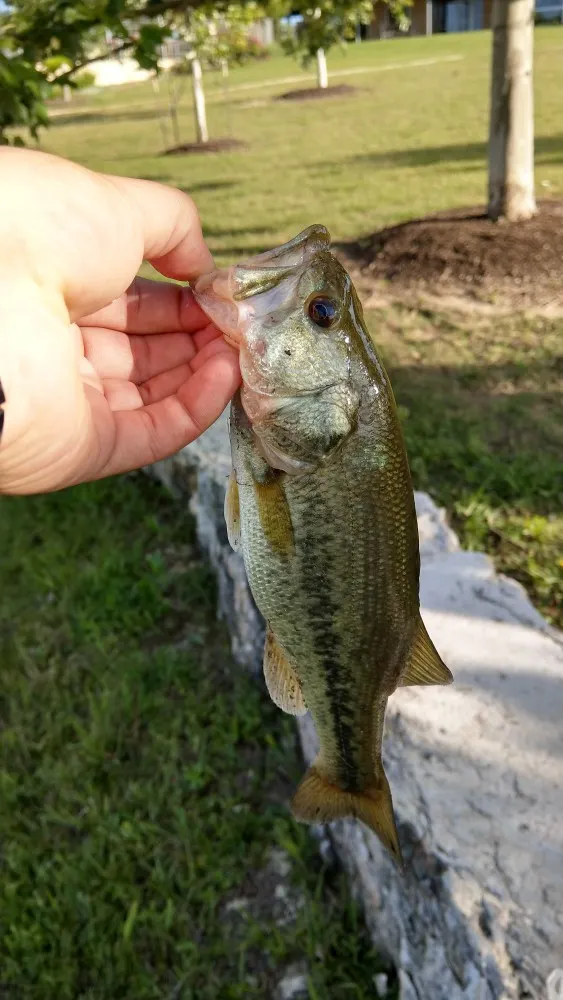 Post image from jessebarrientes