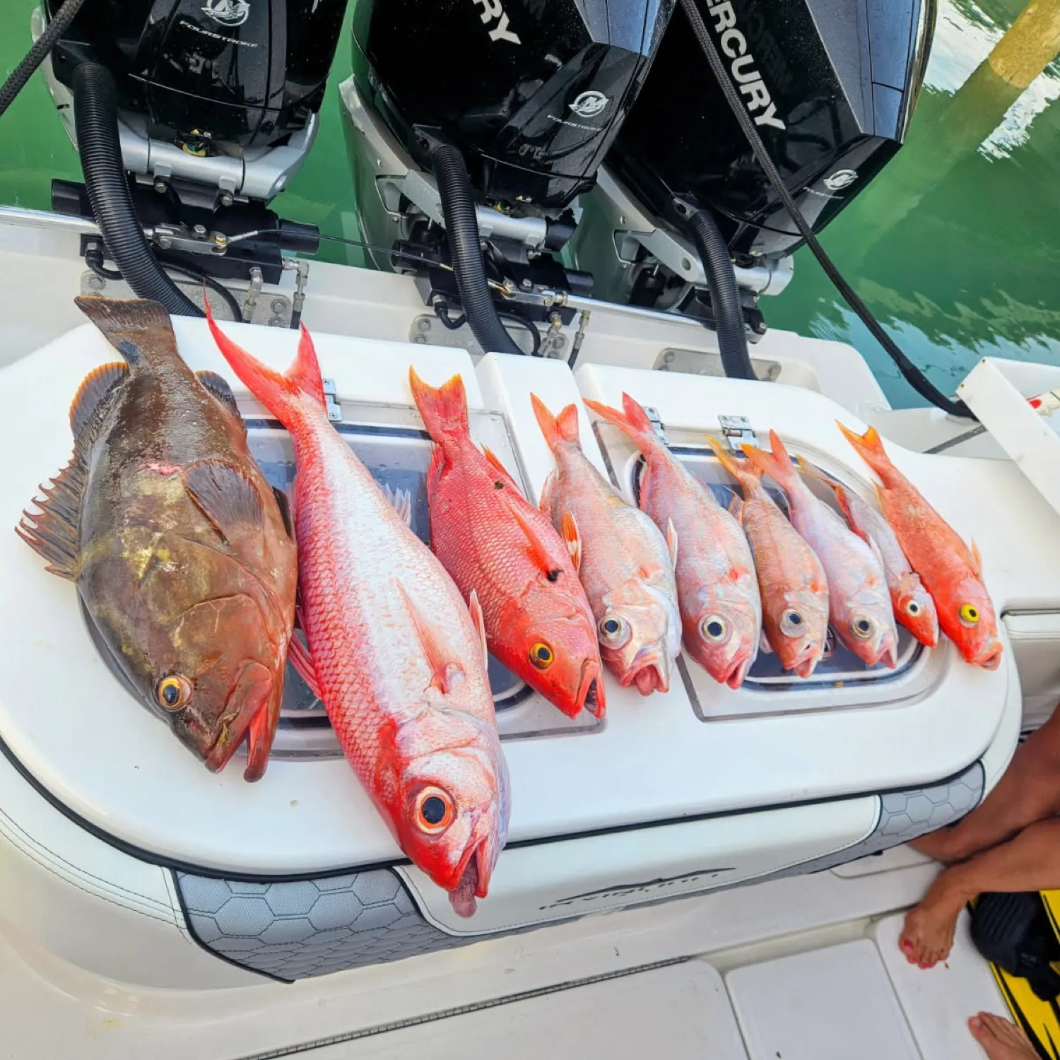 recently logged catches