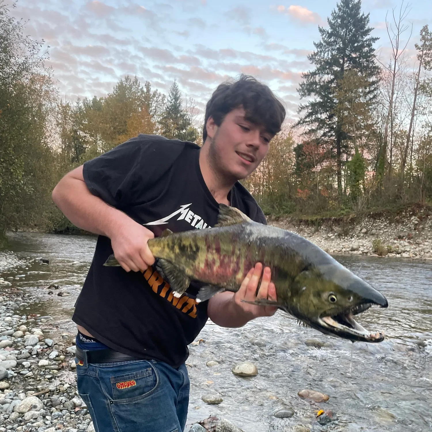 Chum salmon caught on Fishbrain