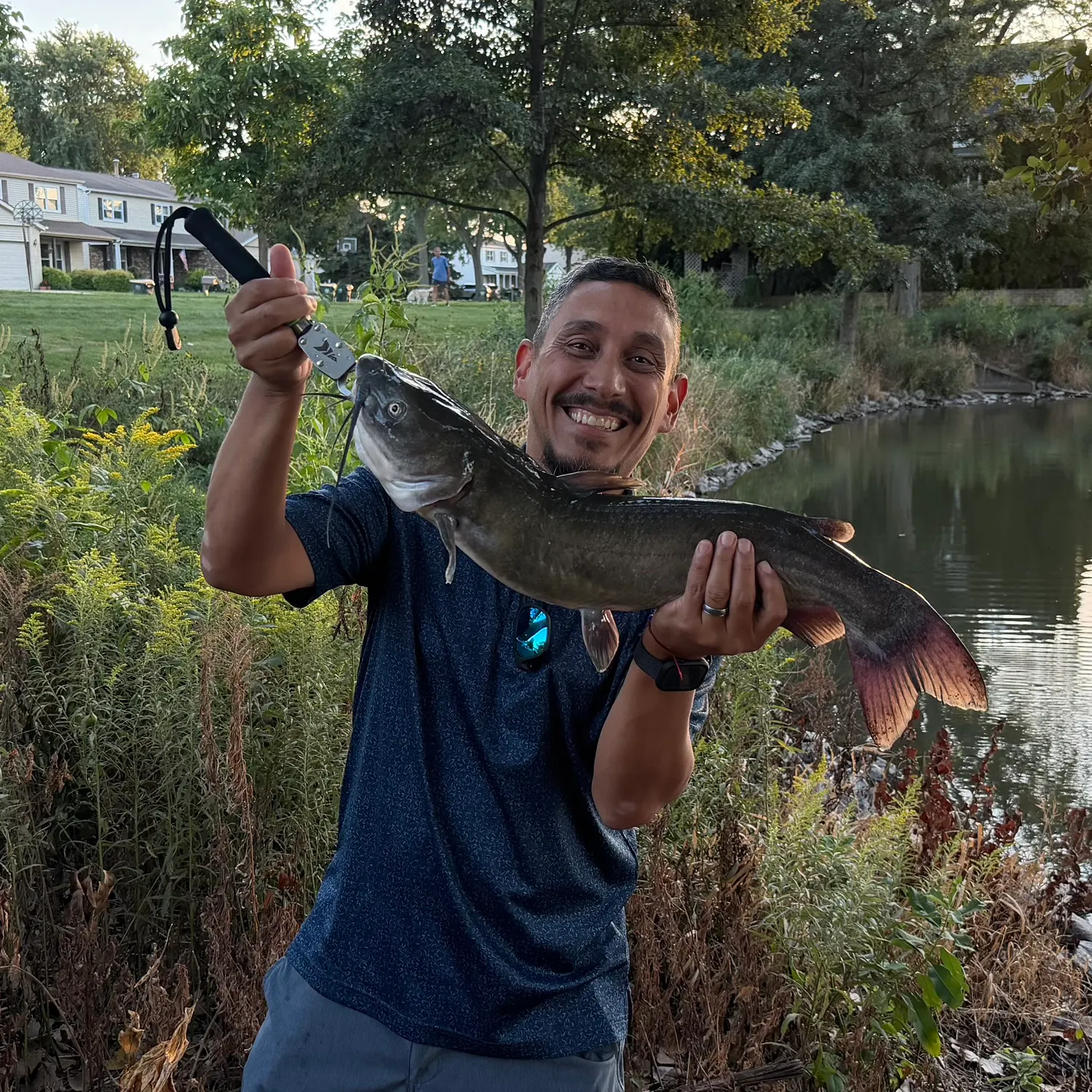 Channel catfish caught on Fishbrain