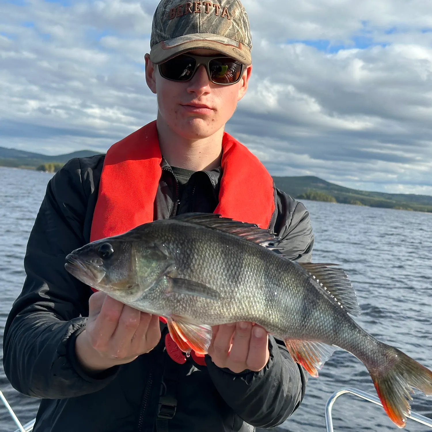 European perch caught on Fishbrain