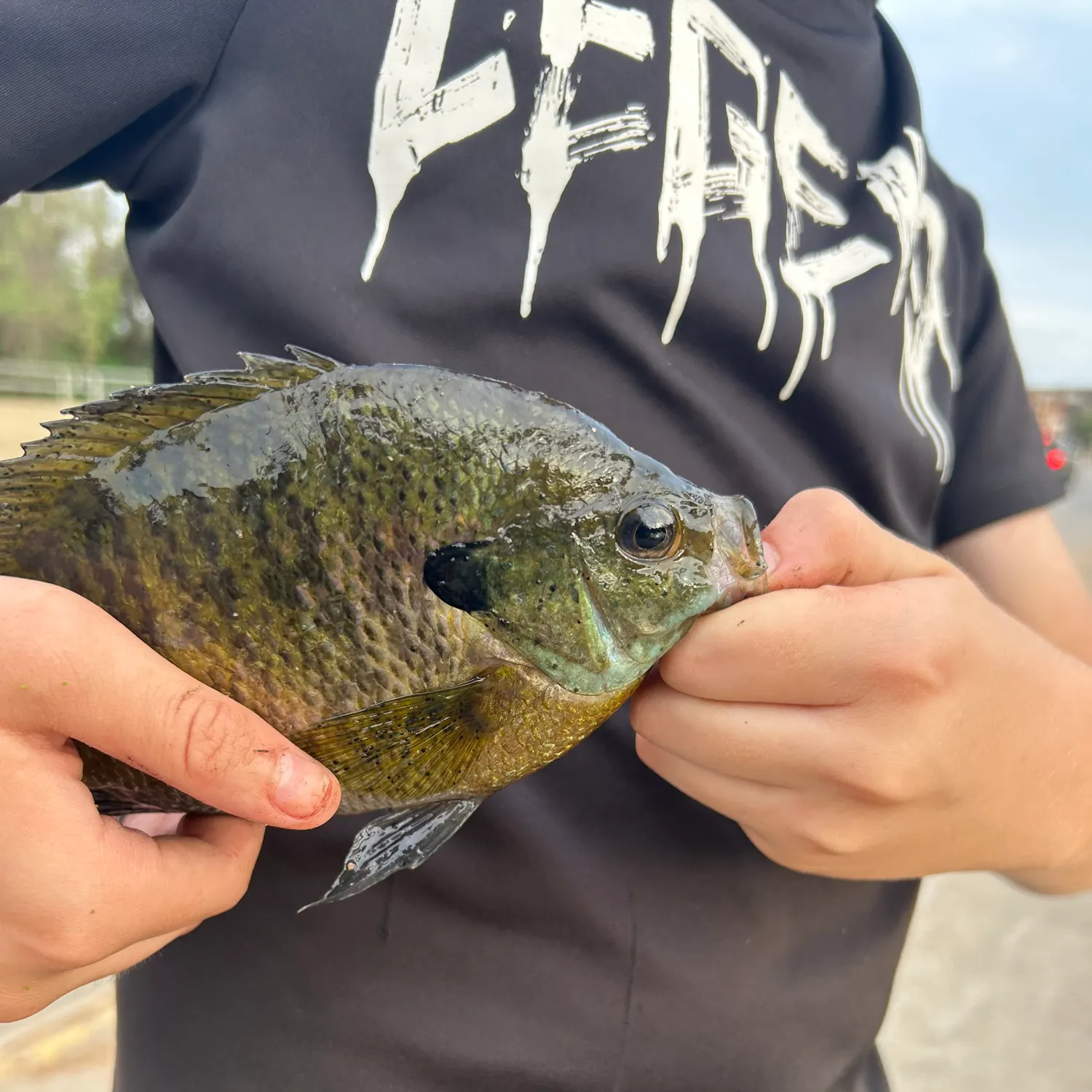 catch