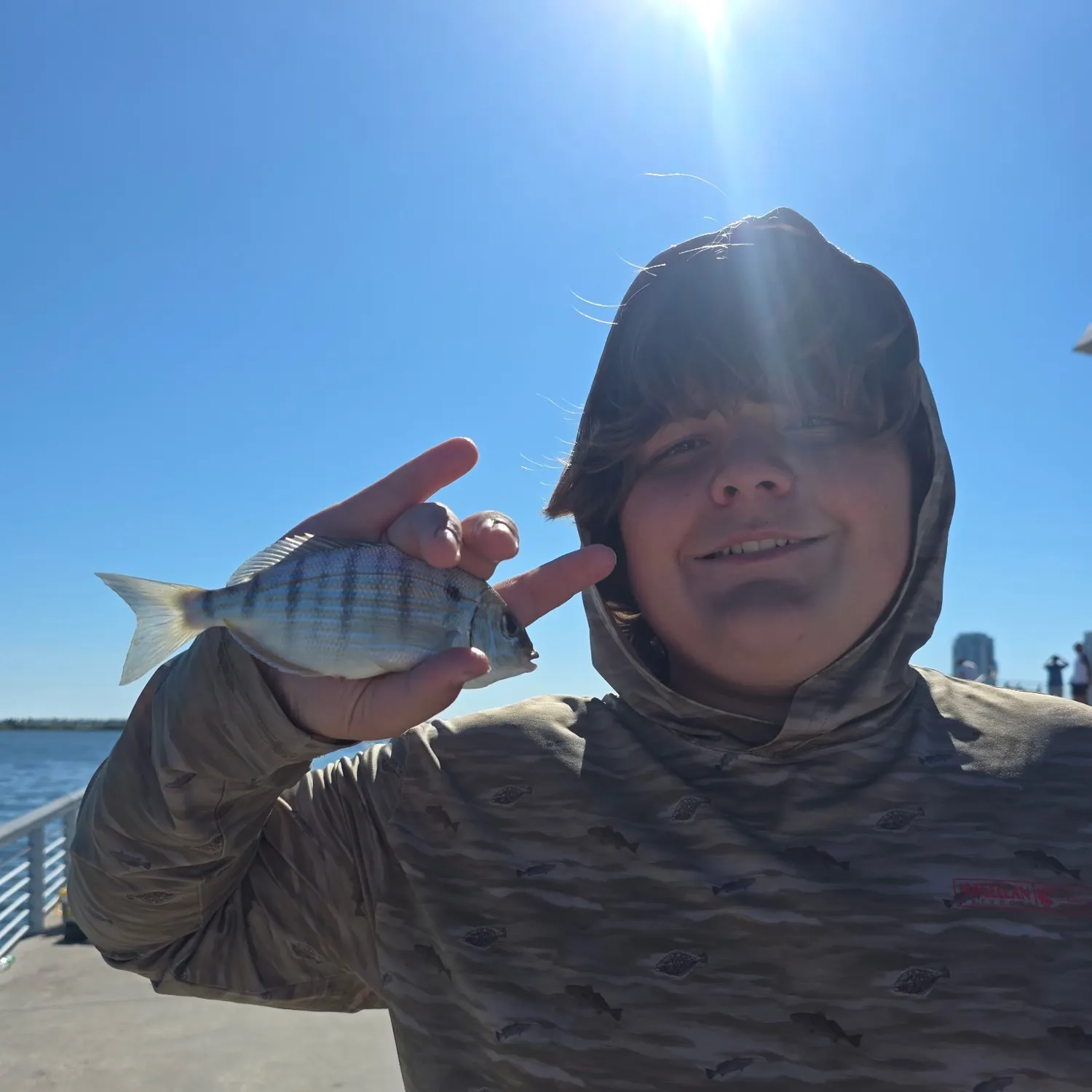 Sheepshead caught on Fishbrain