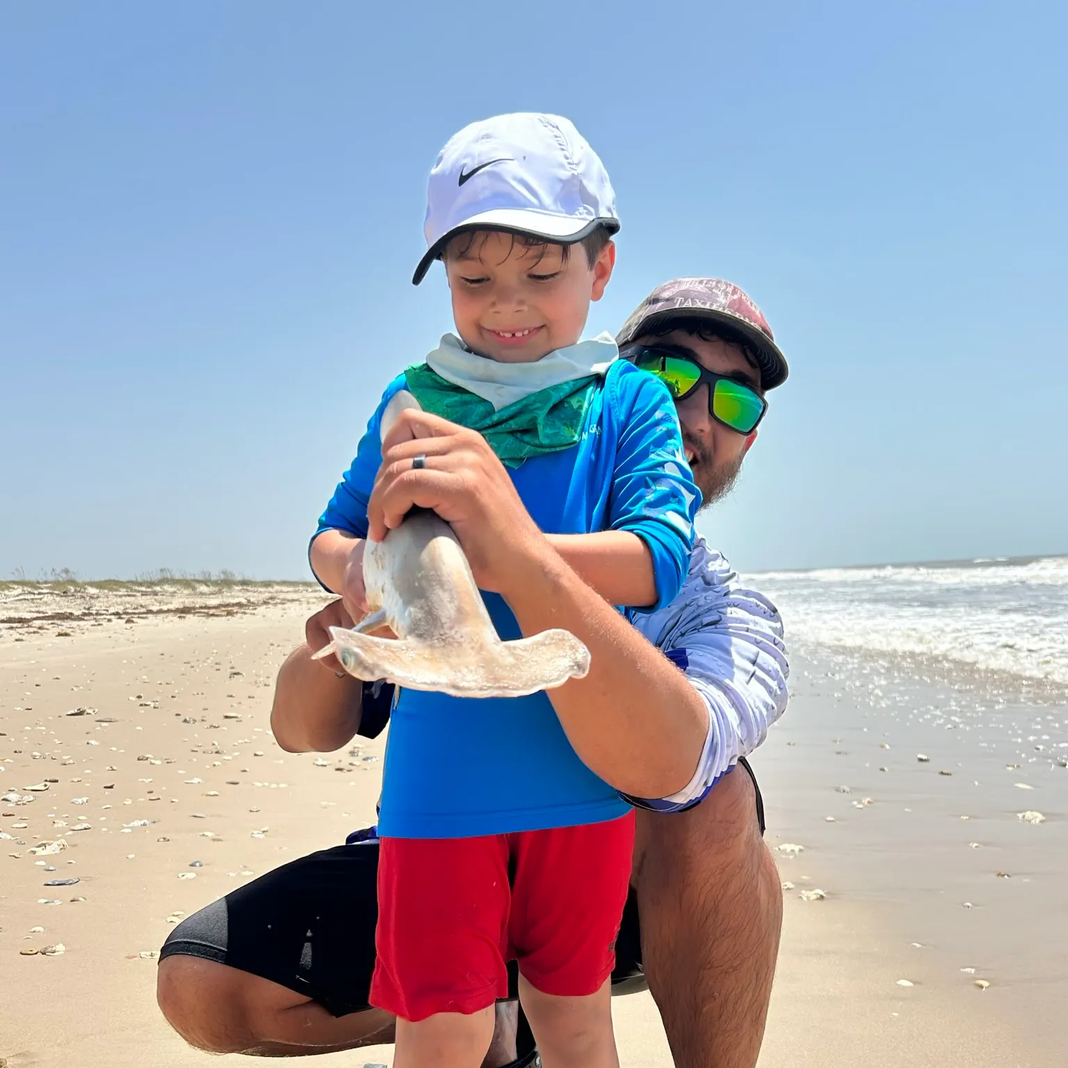 The most recent Scalloped hammerhead shark catches on Fishbrain