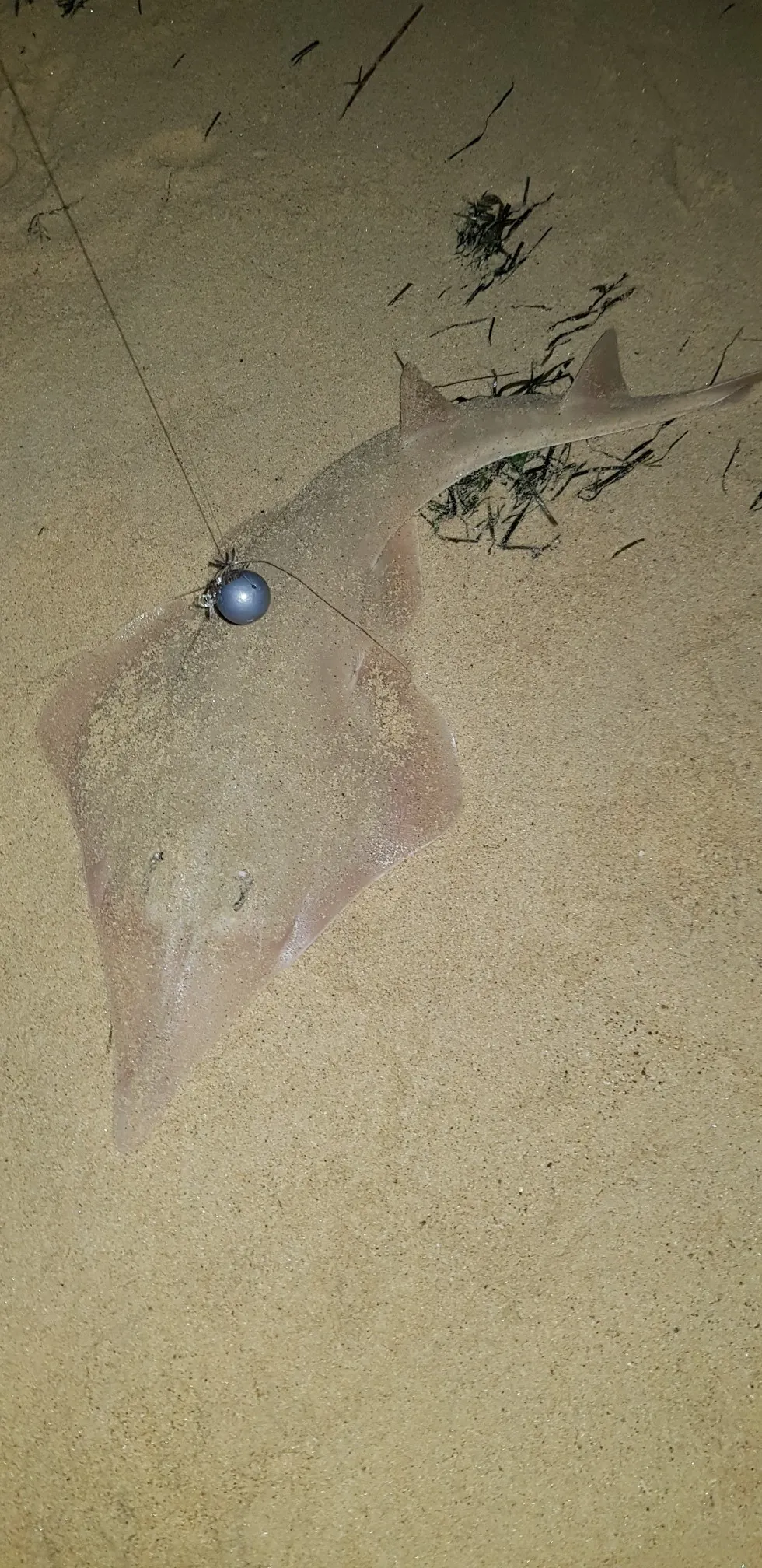 Post image from csmith2584