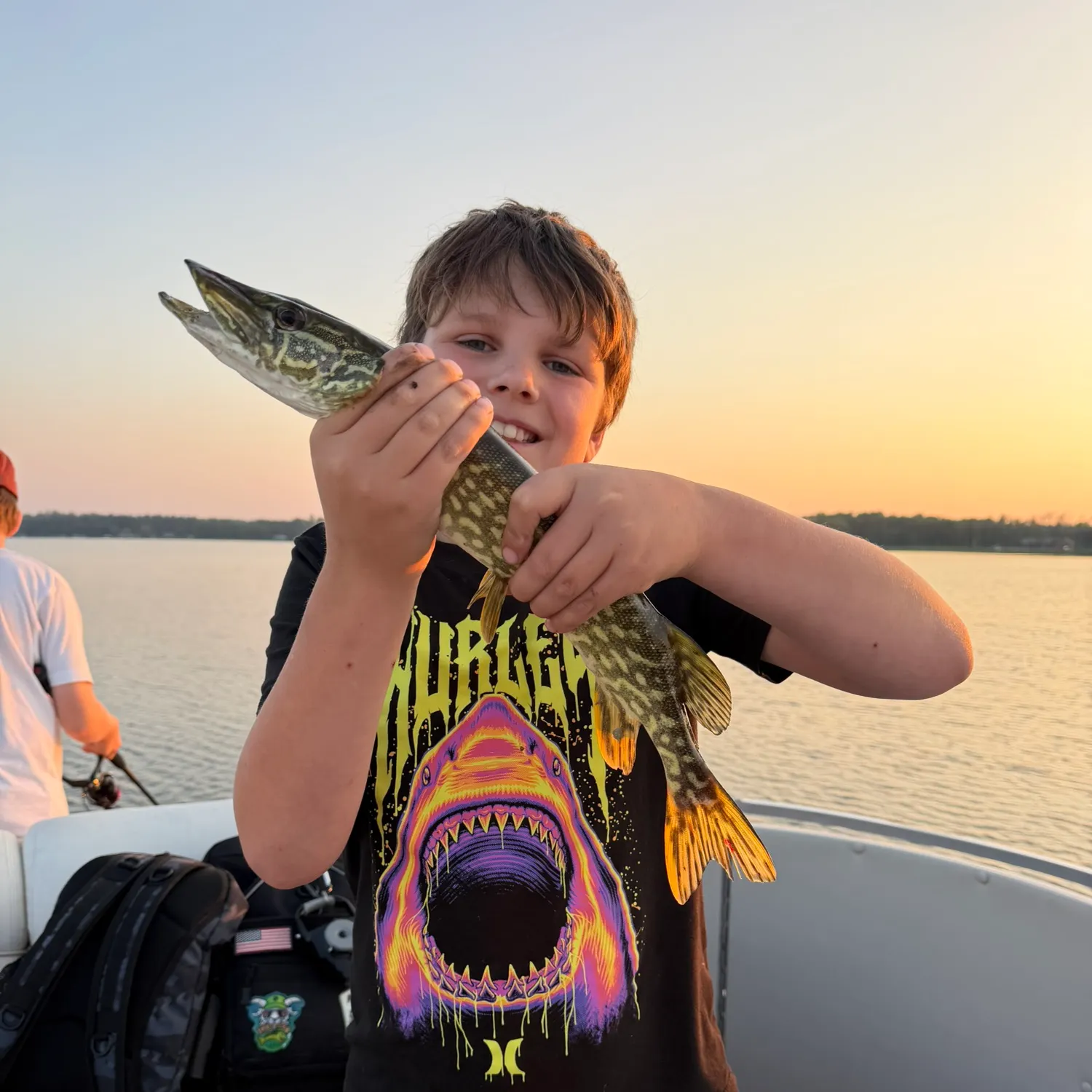 Northern pike caught on Fishbrain