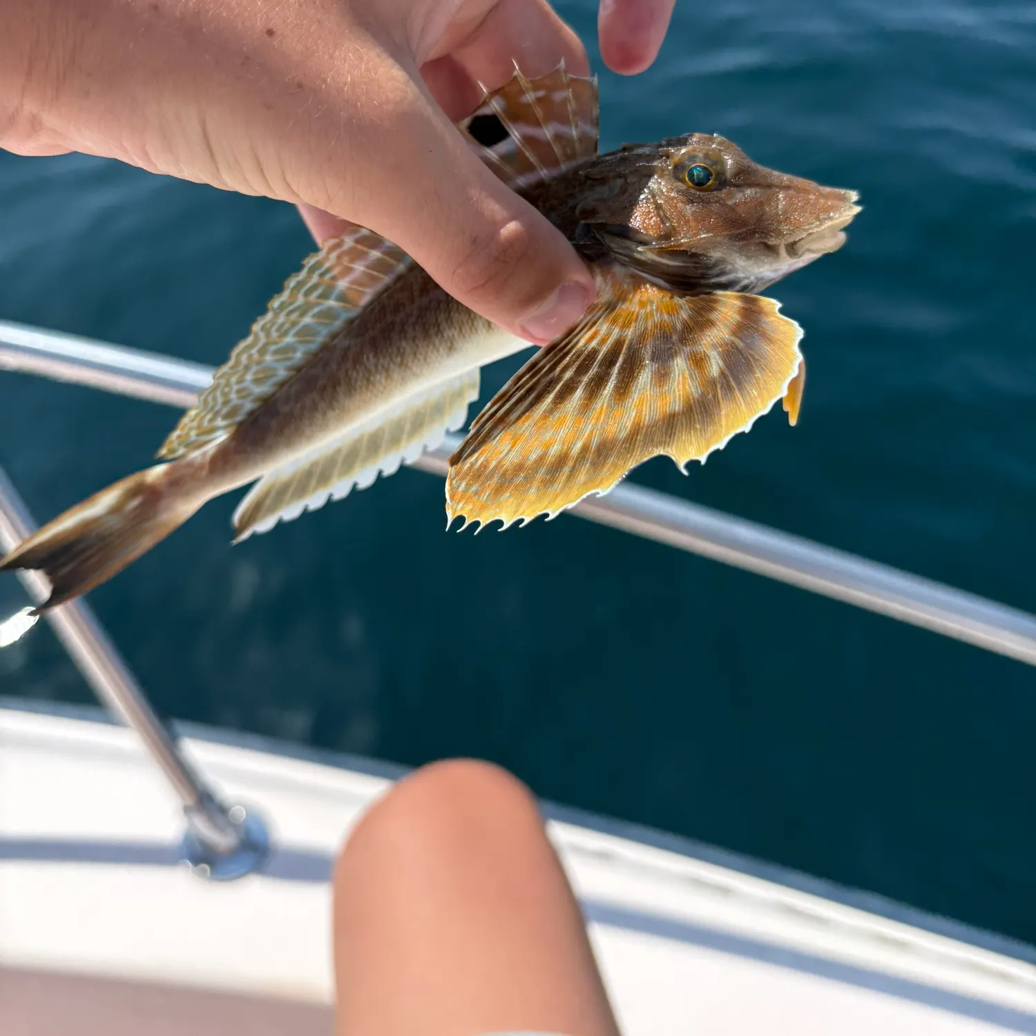 catch