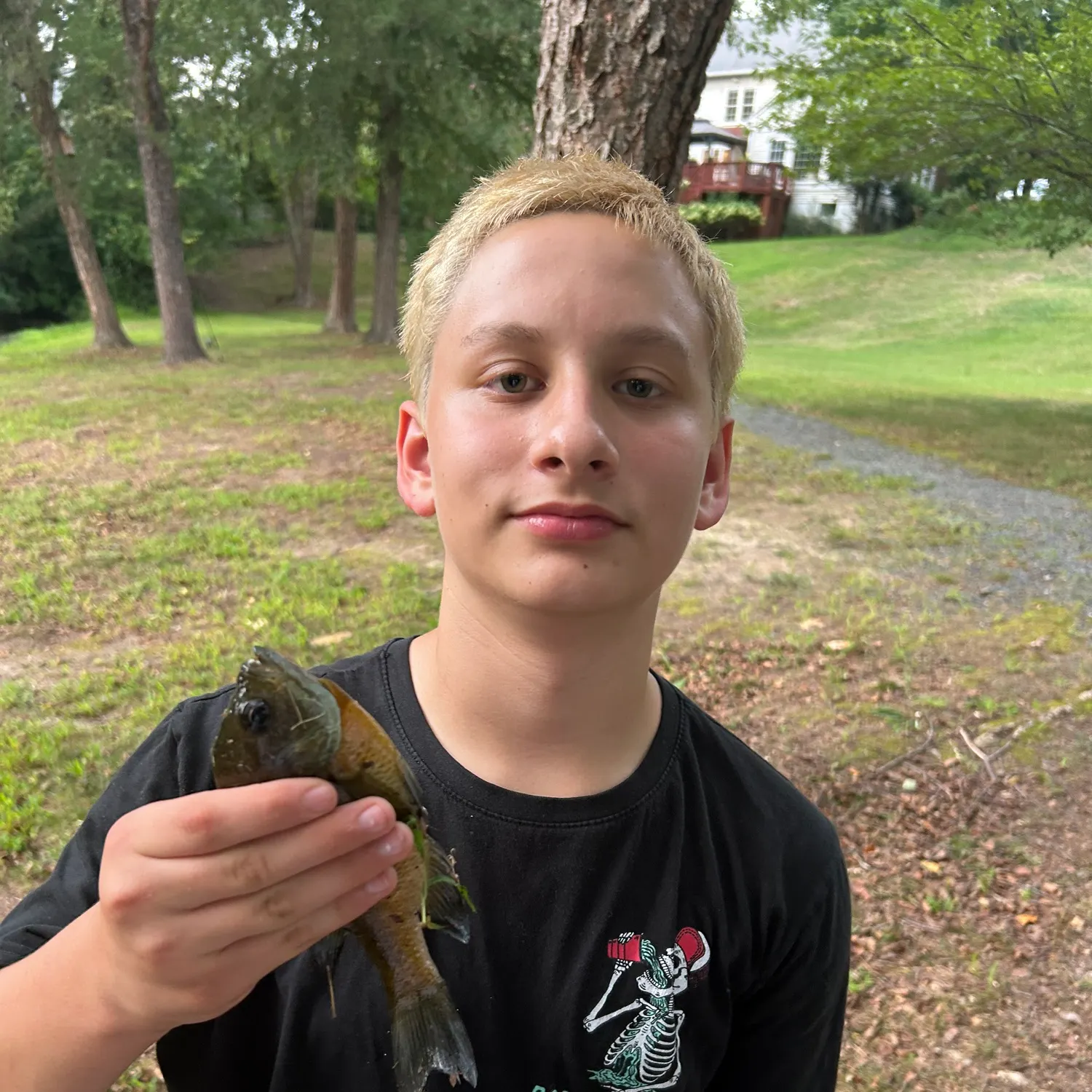 Bluegill caught on Fishbrain