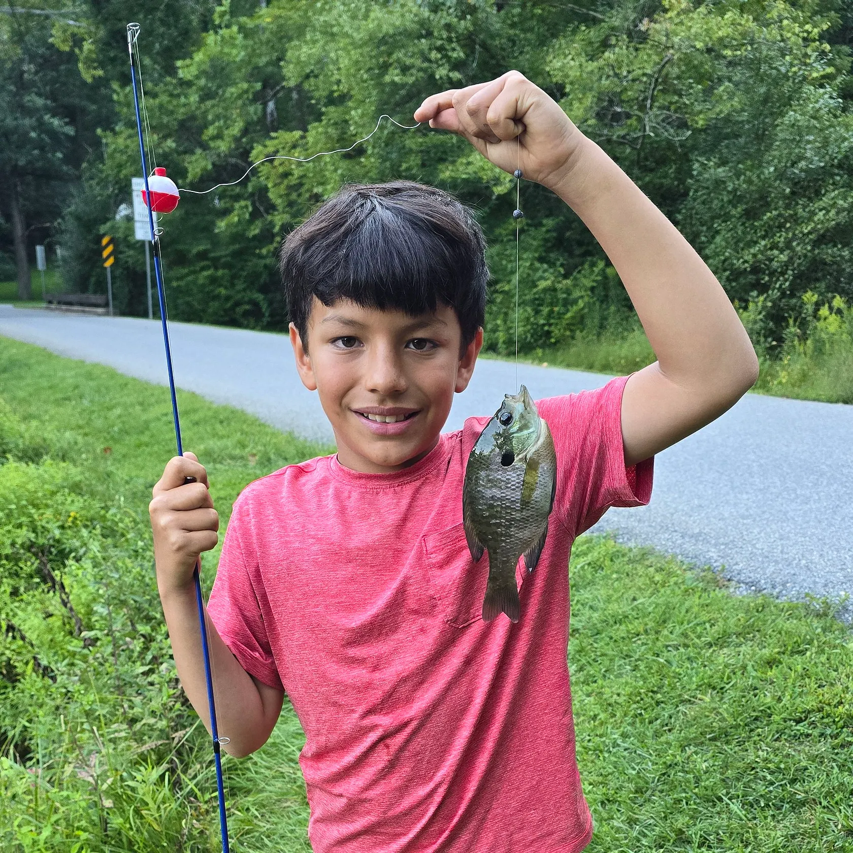 Bluegill caught on Fishbrain