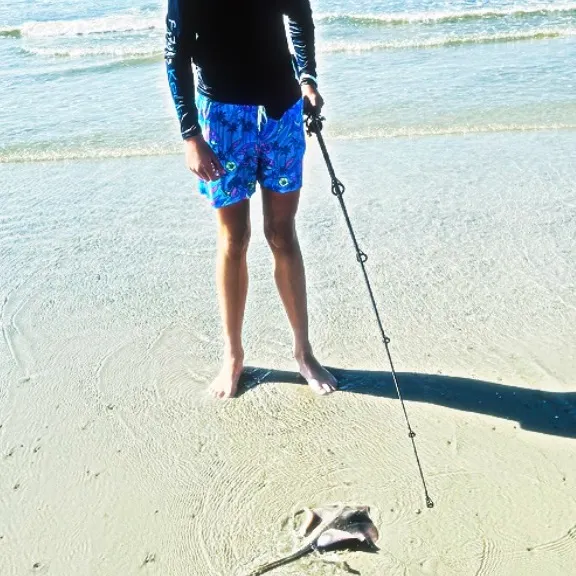 The most recent Atlantic stingray catches on Fishbrain