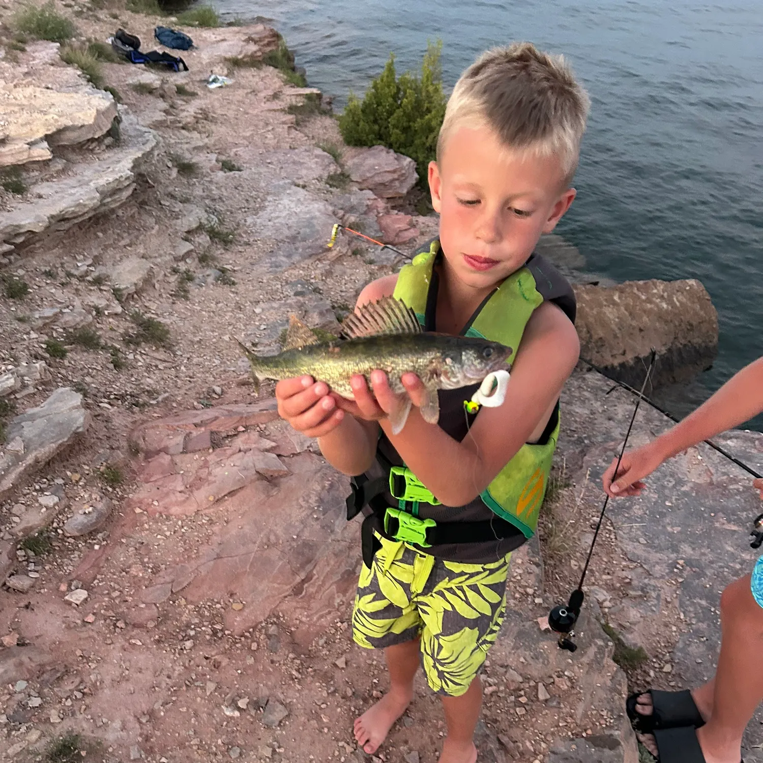 Walleye caught on Fishbrain